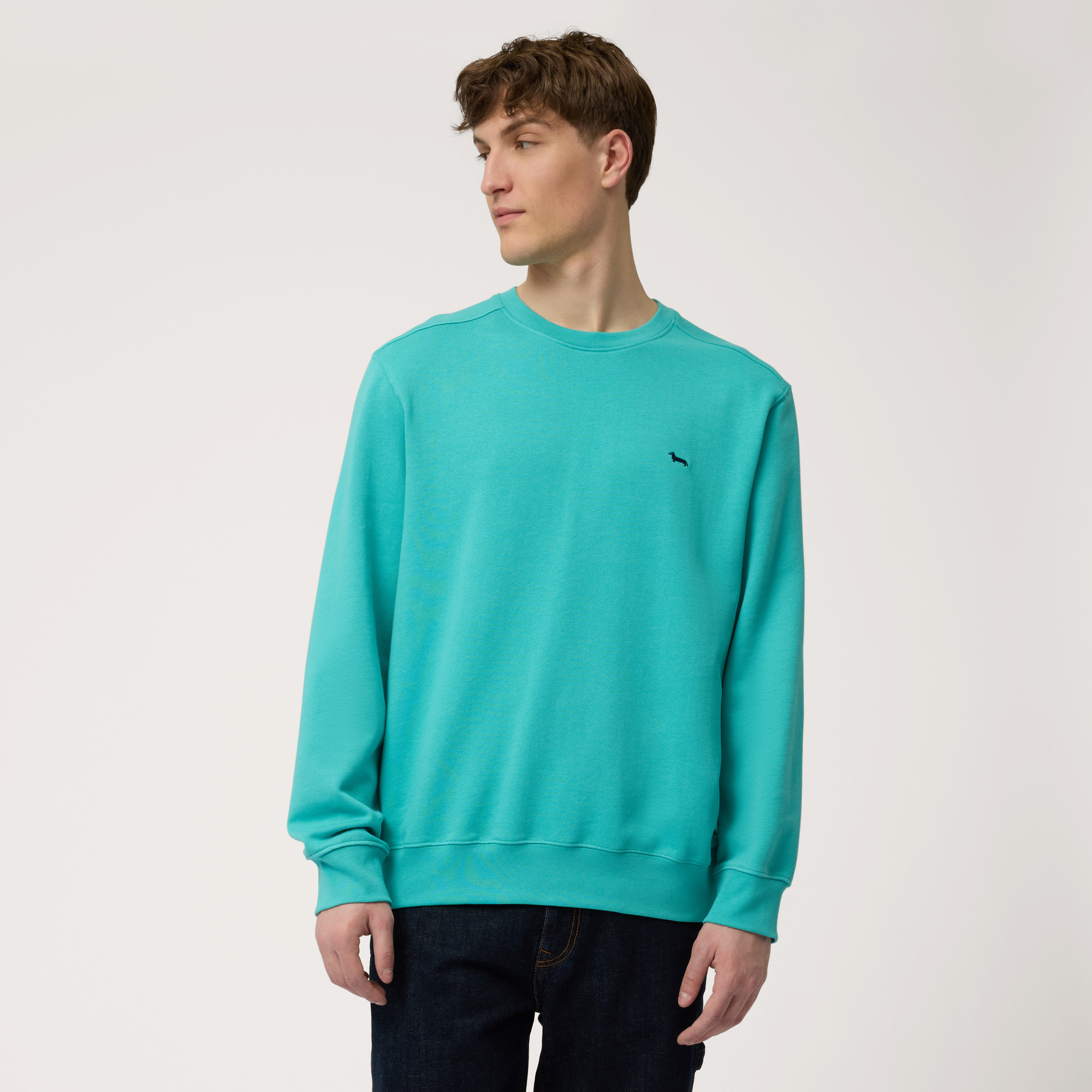 Pure Cotton Oversized Sweatshirt, Turquoise, large
