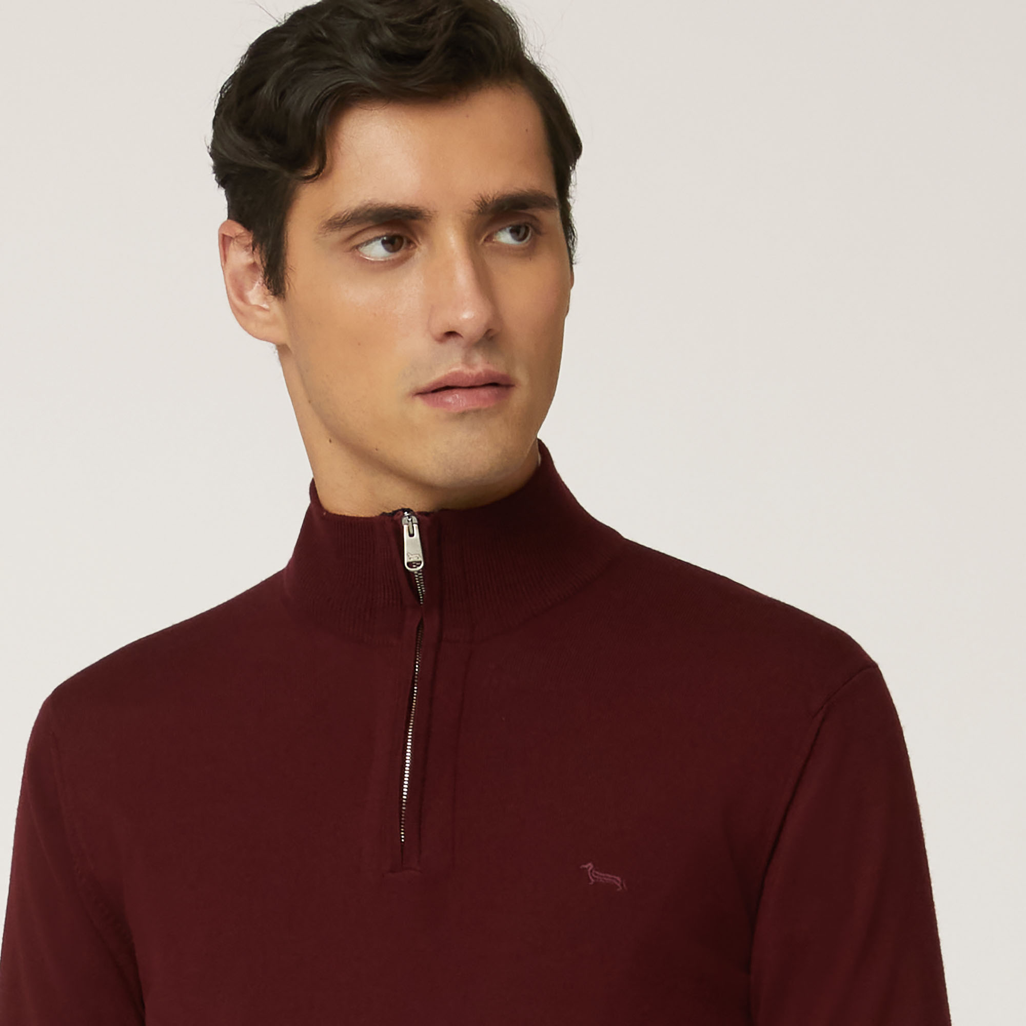 Pullover Con Mezza Zip E Bottoni, Bordeaux, large image number 2