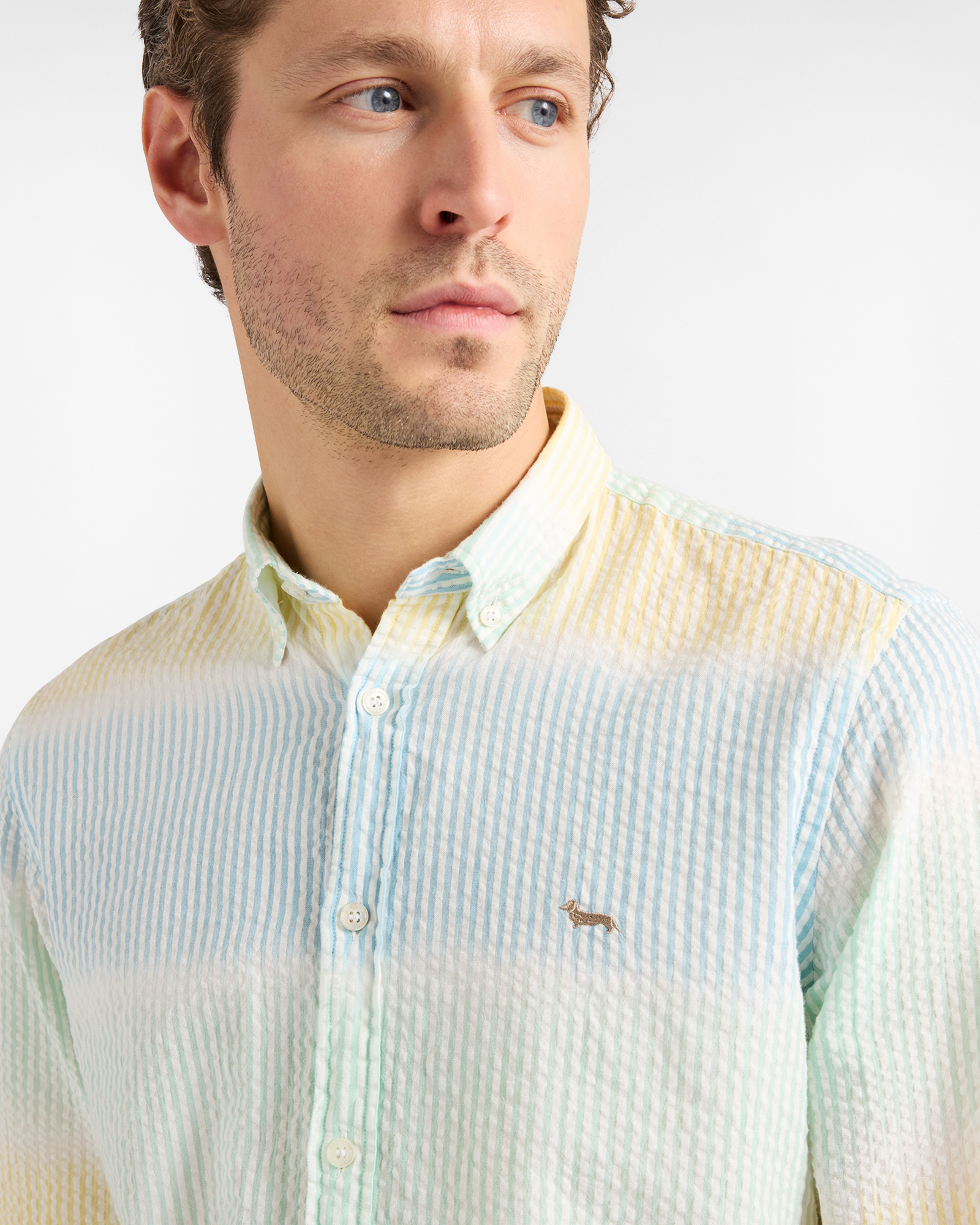 Camicia Uomo con Righe Sfumate