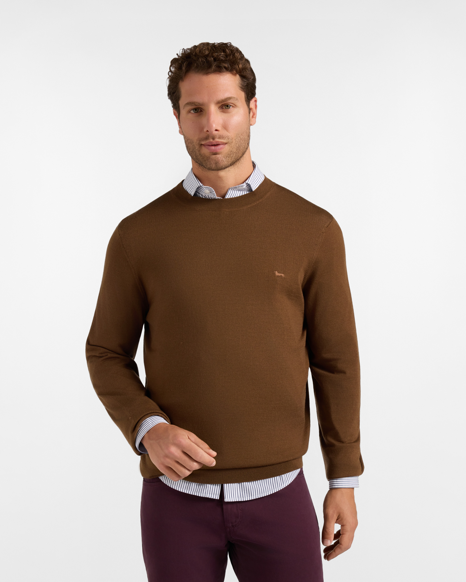 Maglia Uomo in 100% pura lana marrone Regular Fit