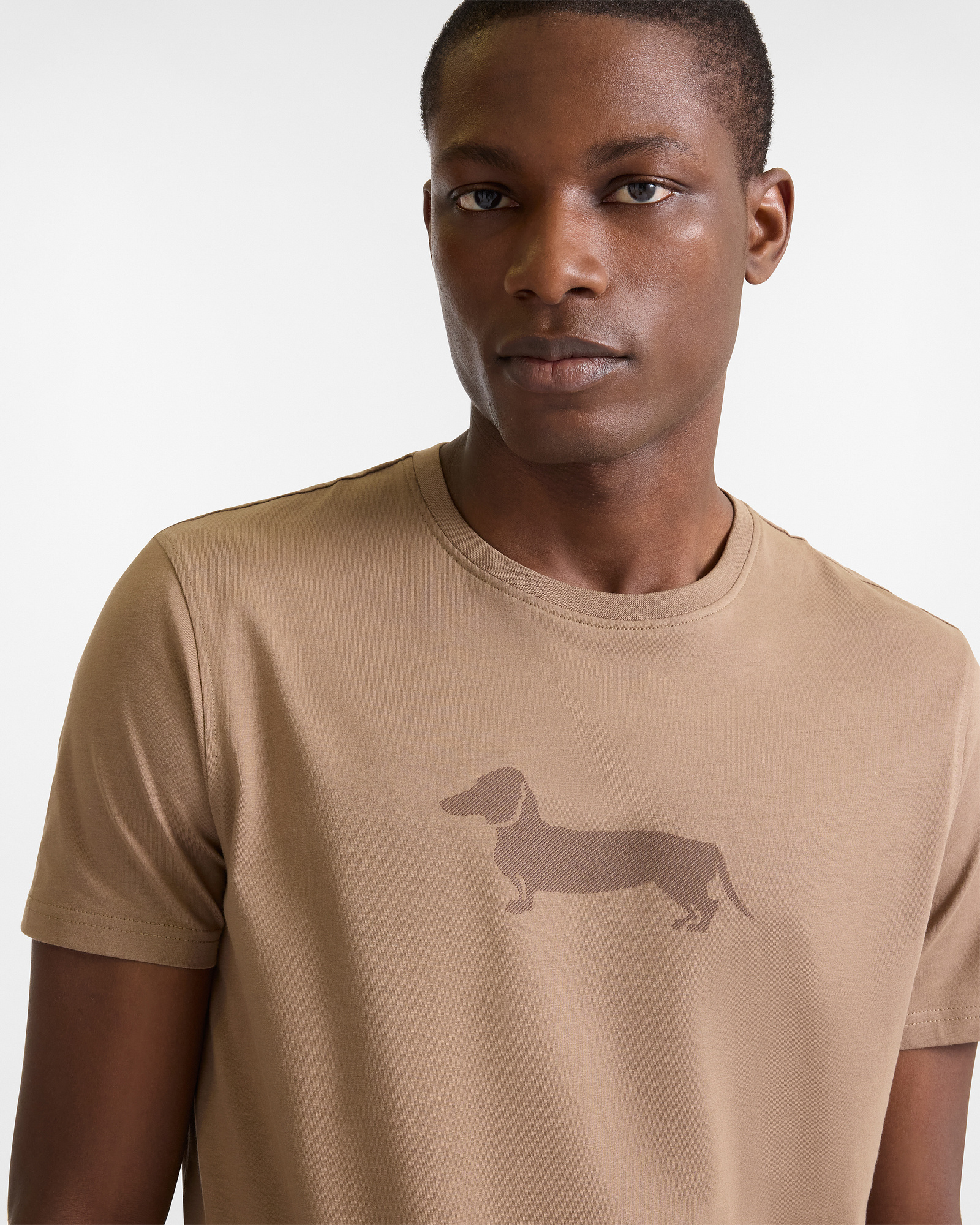 Camiseta con Estampado de Perro Salchicha 3D, Cuero, large image number 2