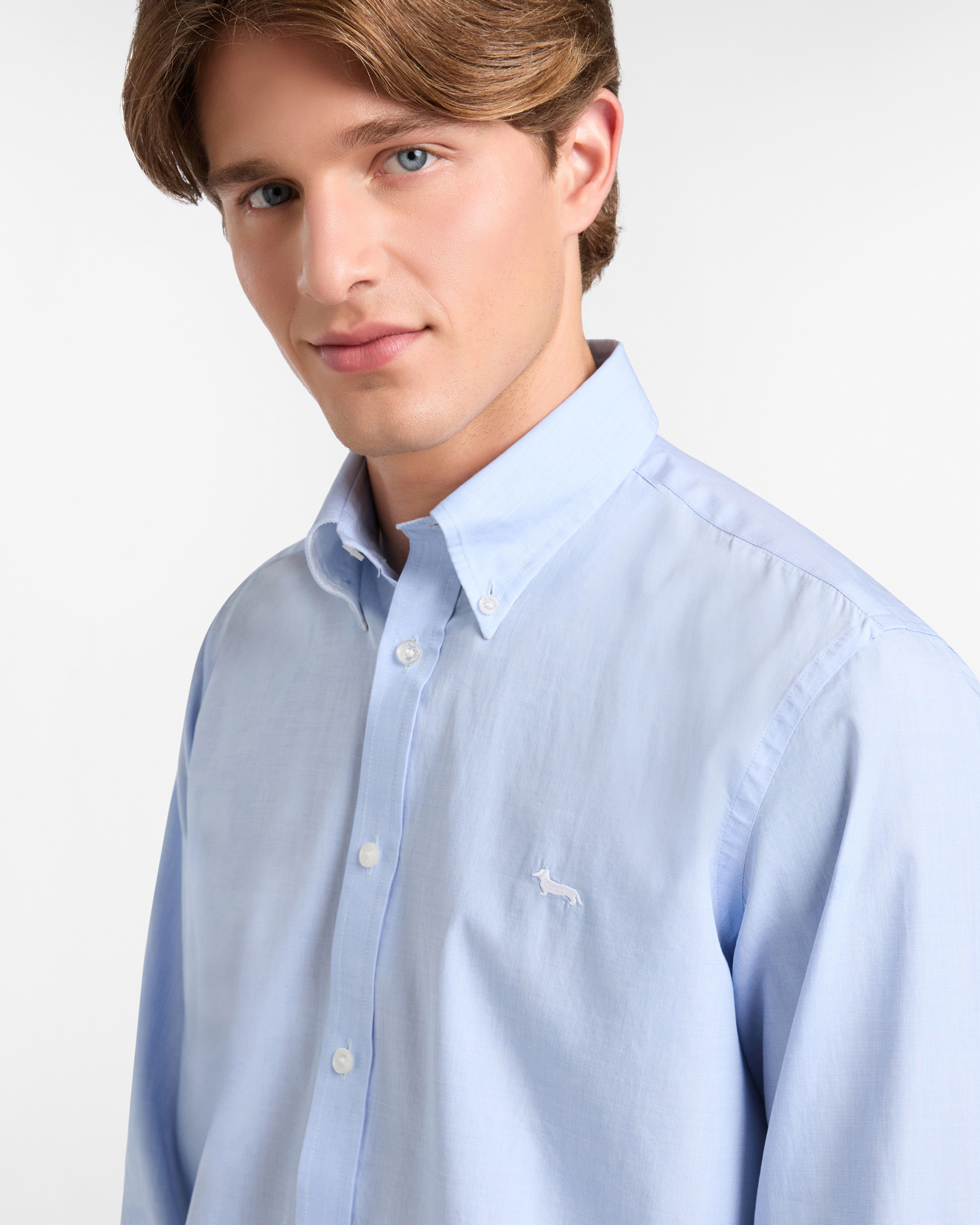 Regular Cotton Shirt with Dachshund, Sky, large image number 2