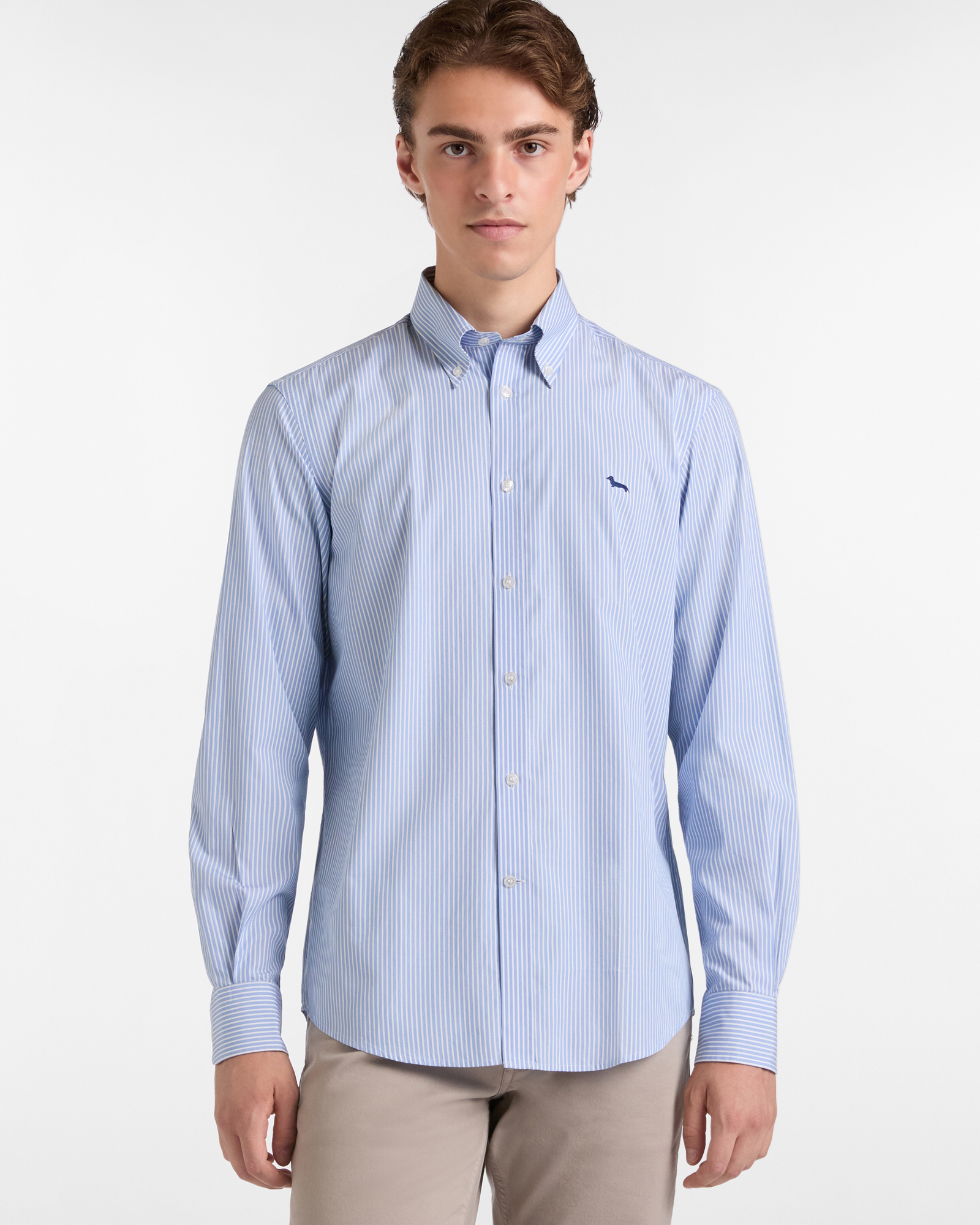Striped Shirt with Dachshund, Sky, large