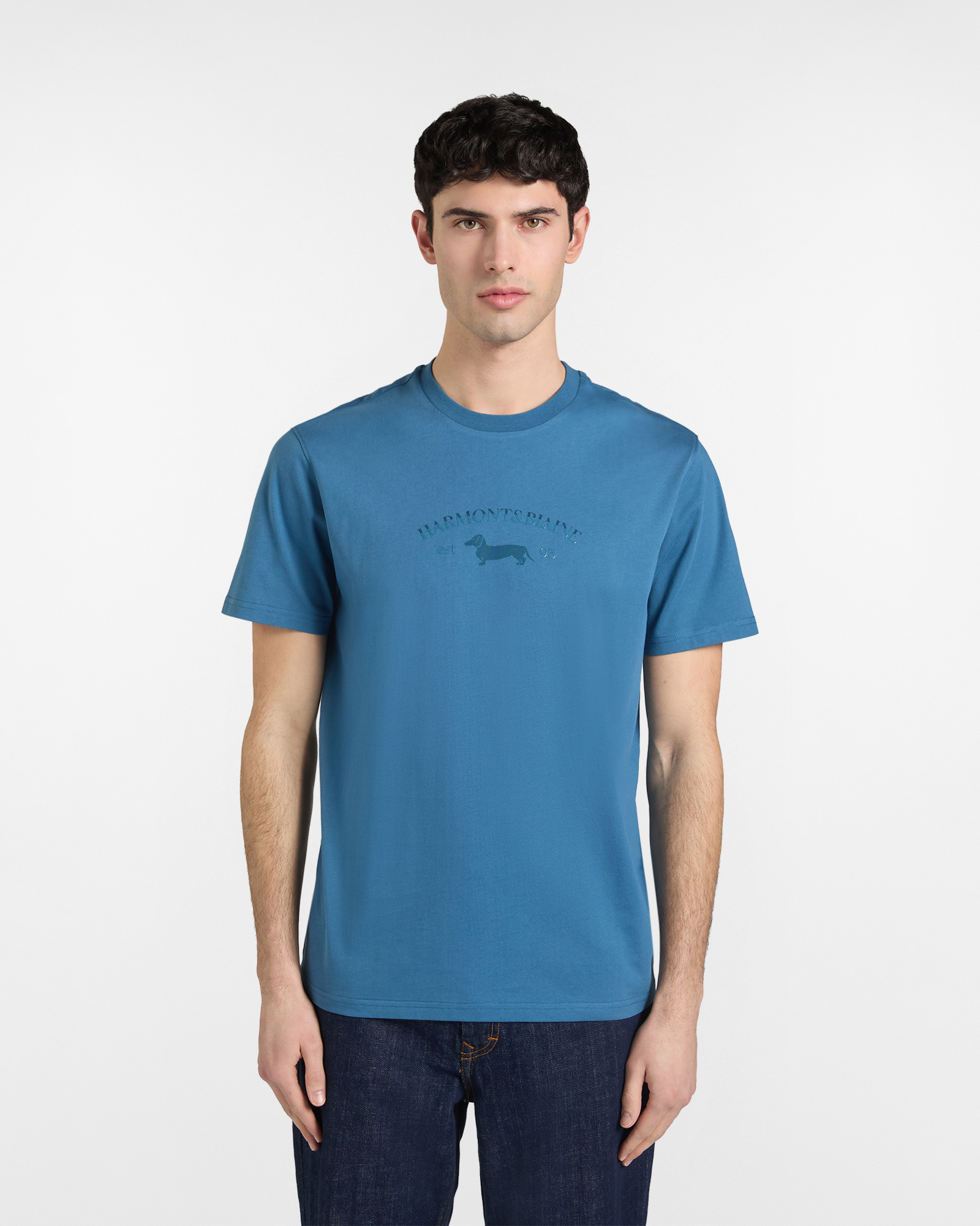 Logotipo en camiseta estilo vintage, Azul, large