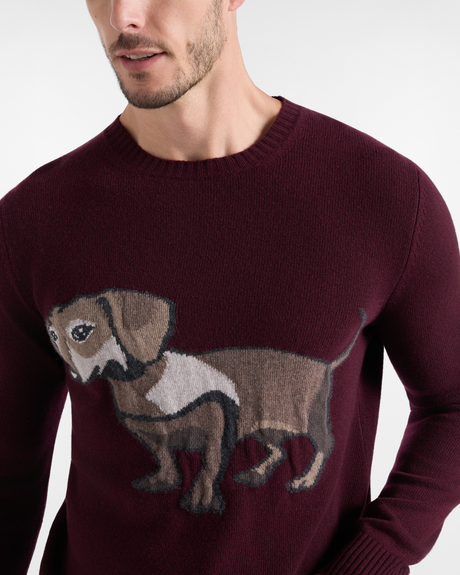 Pullover Uomo in misto lana e cashmere Regular Fit Made in Italy, VIOLA SCURO, large