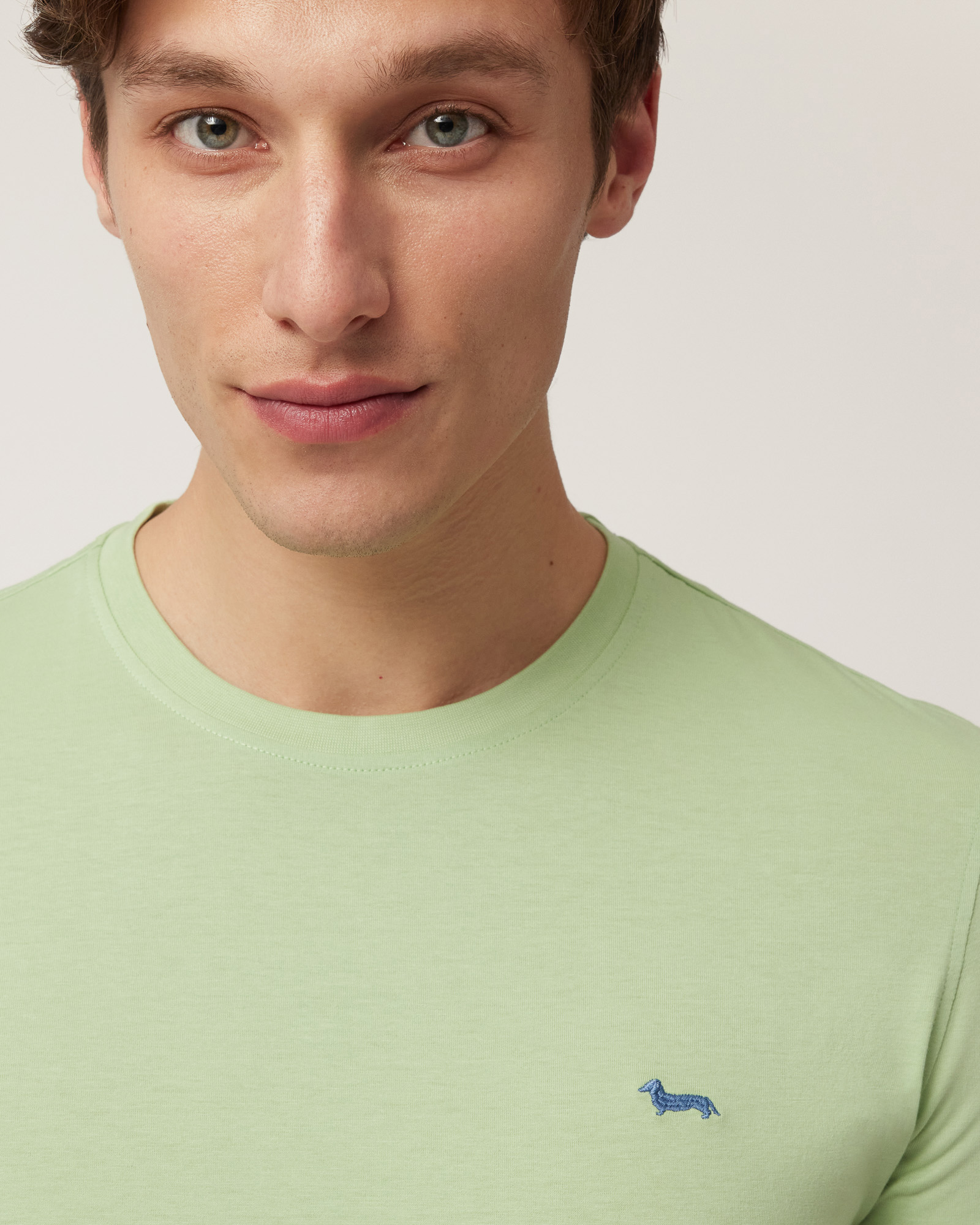Camiseta con teckel, Verde claro, large image number 2