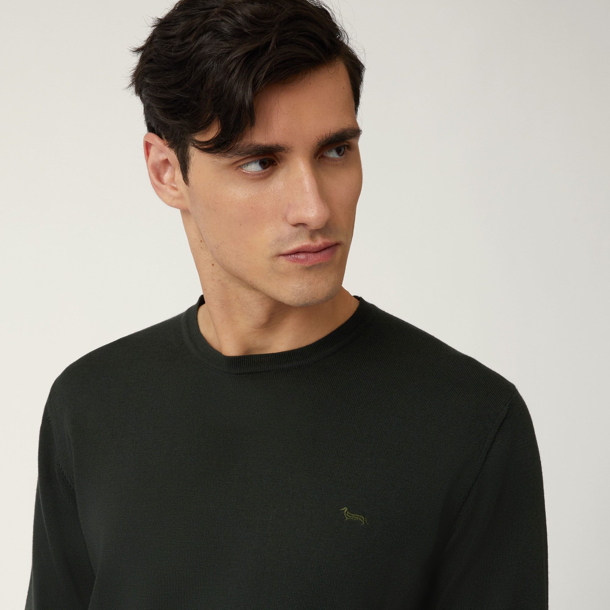 Pullover Girocollo In Lana Merino, Verde, large image number 2