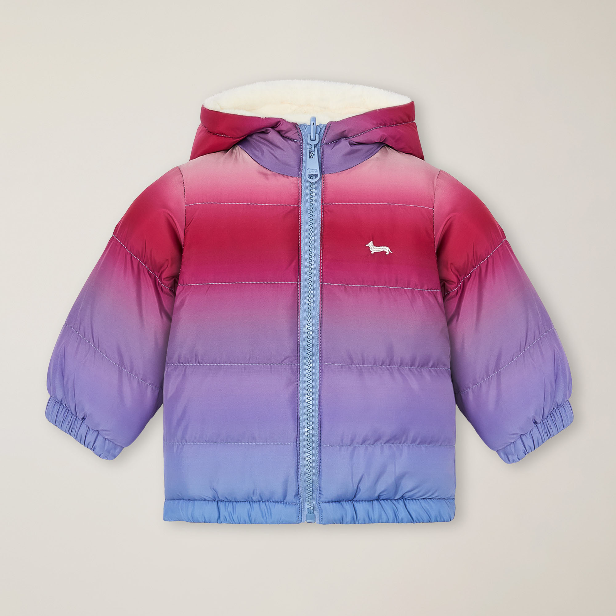 Gap outlet rainbow jacket