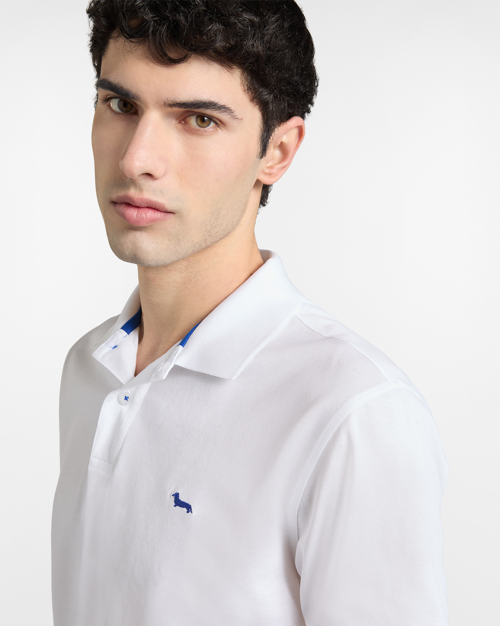 Men's basic piqu&eacute; polo shirt, White, large image number 2