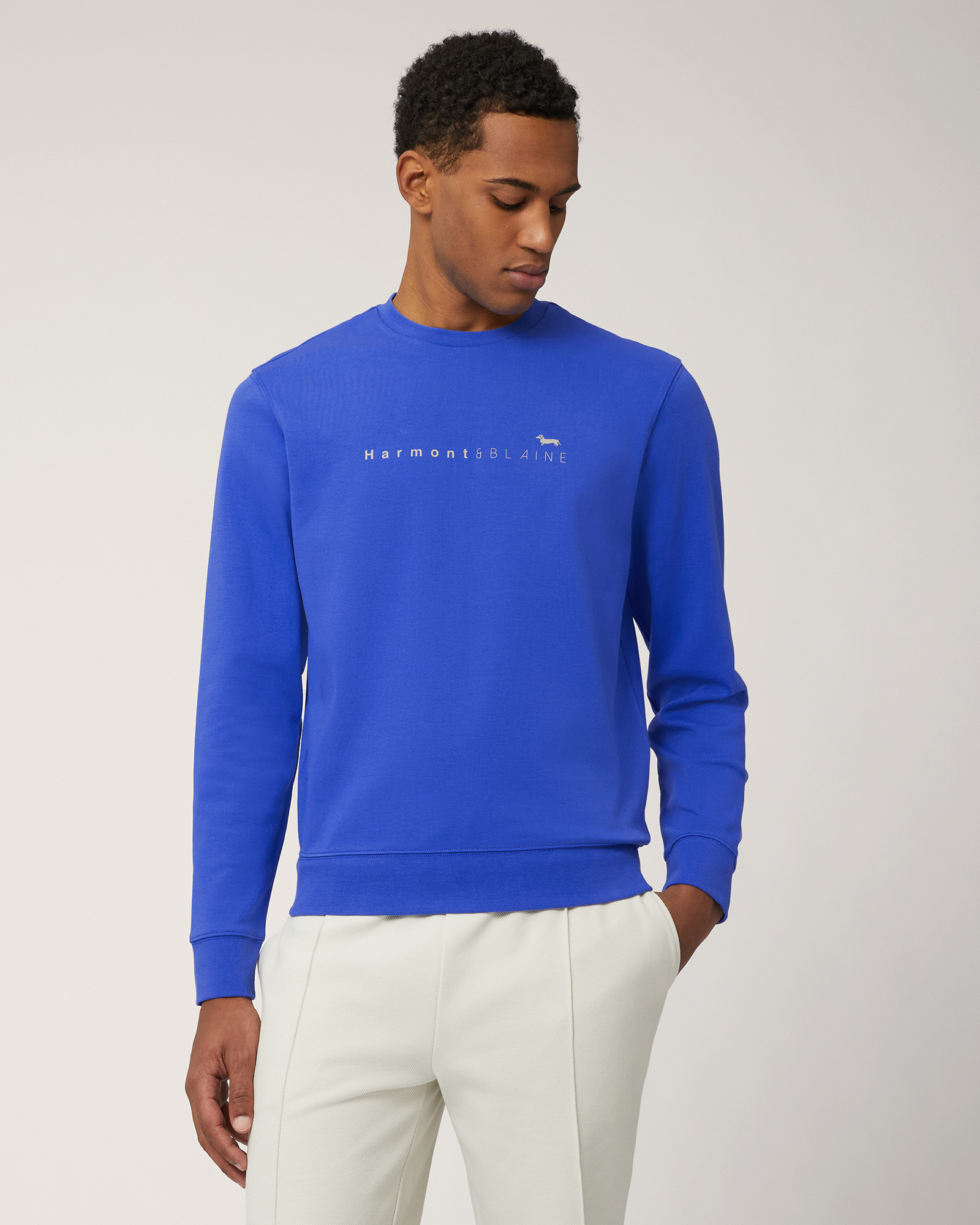 Sweatshirt with Lettering and Dachshund
