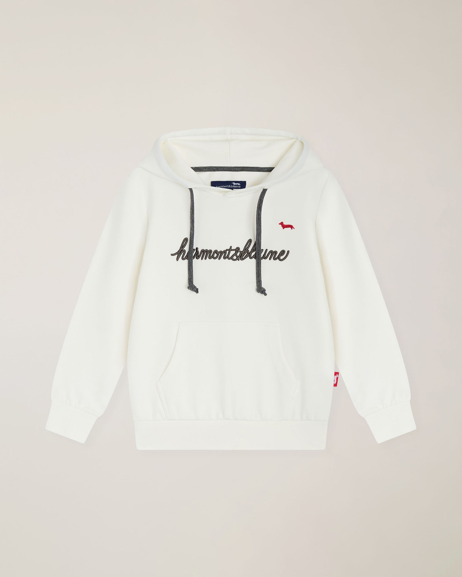 Hoodie with embroidered logo