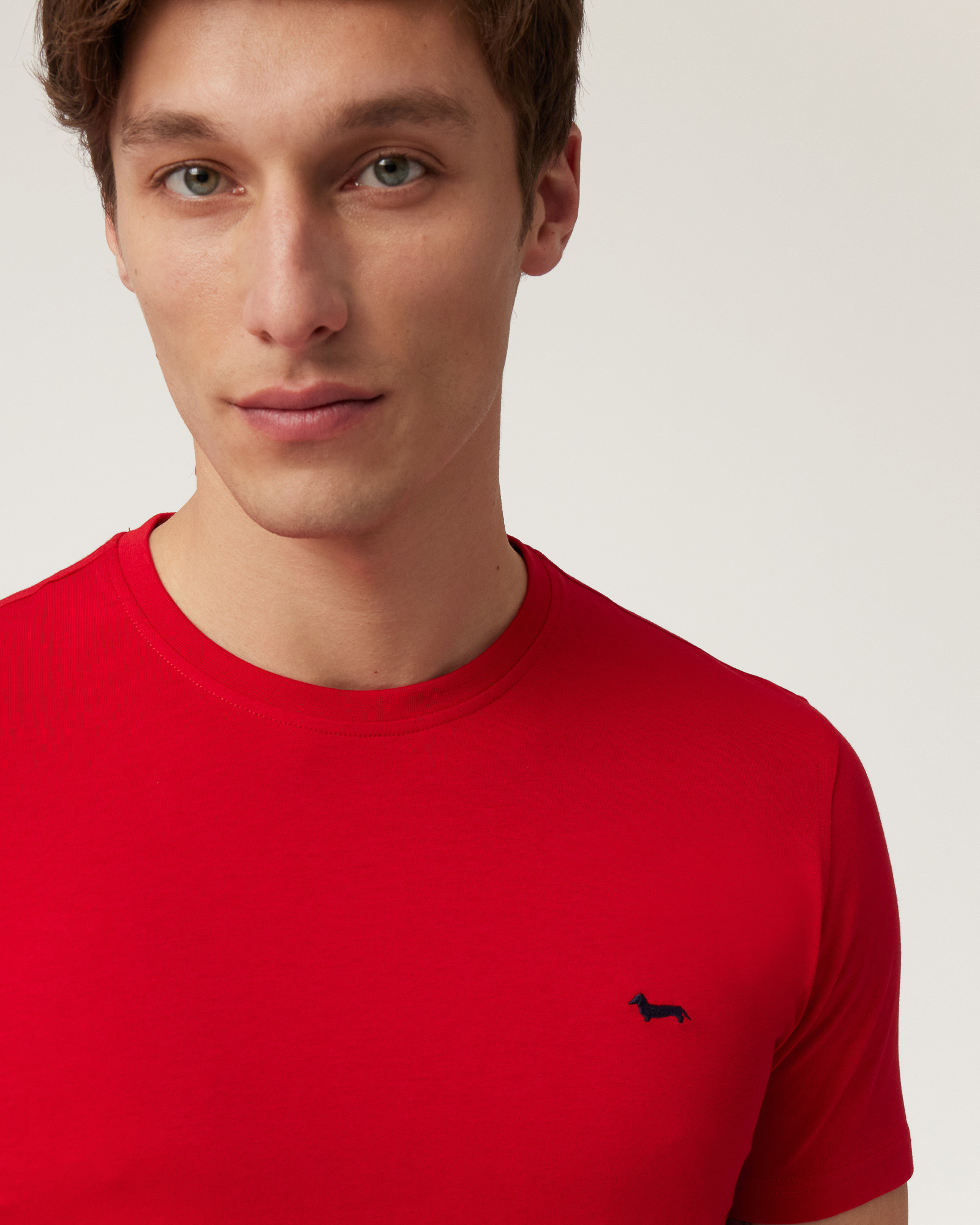T-Shirt with Dachshund, Deep Red, large image number 2