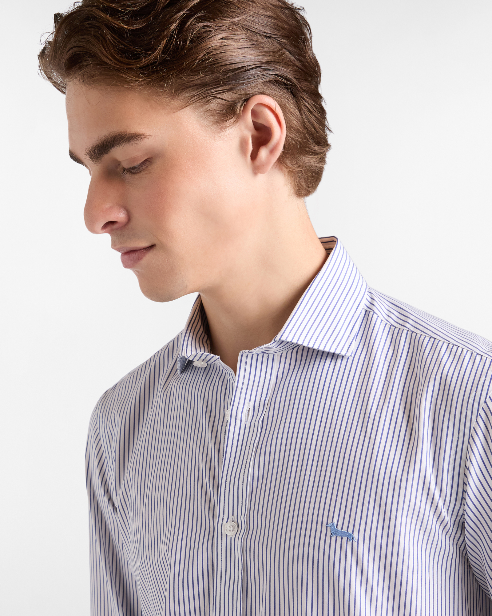 Striped Shirt with Dachshund, Navy Blue, large image number 2