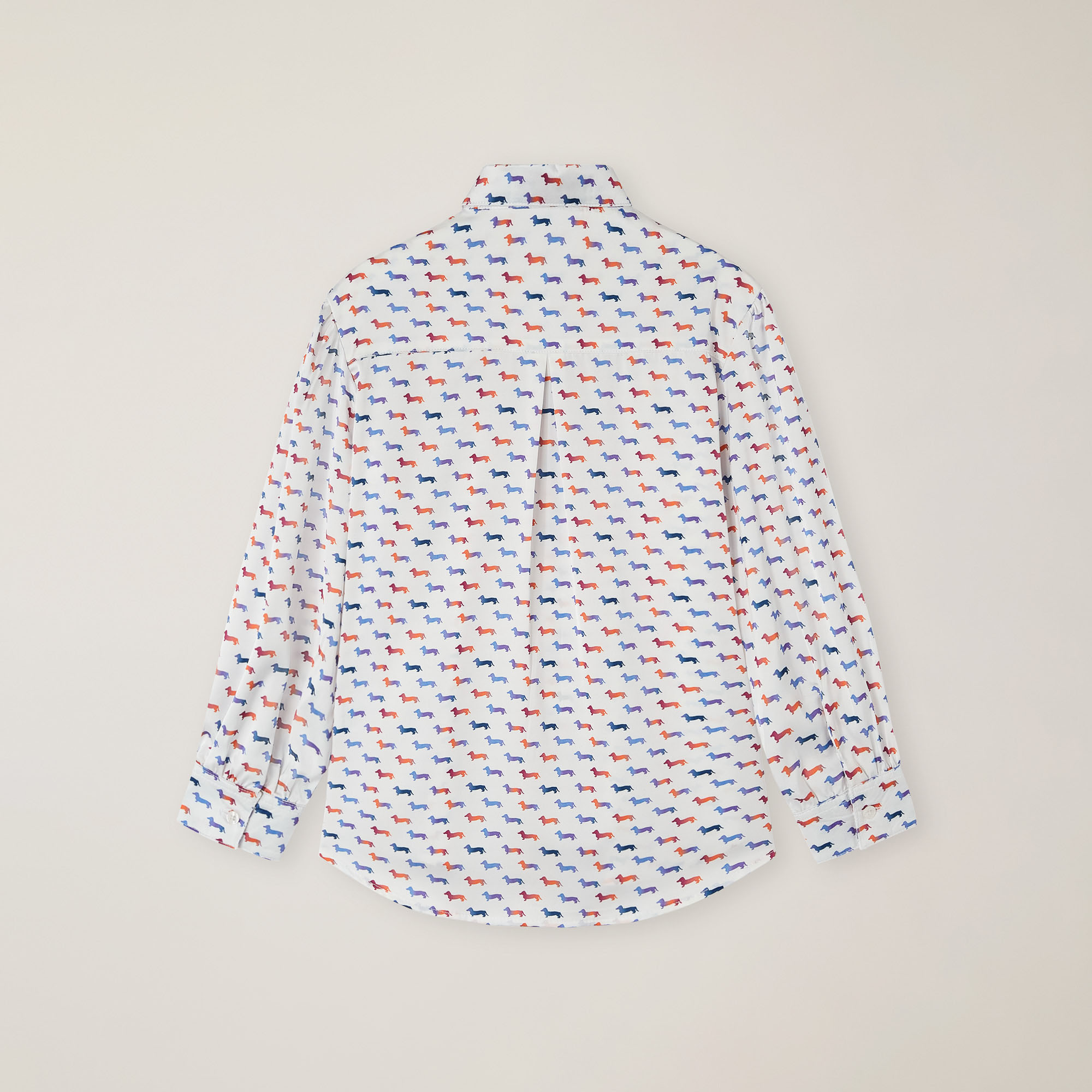 Camicia Con Stampa Bassotti, Bianco, large image number 1