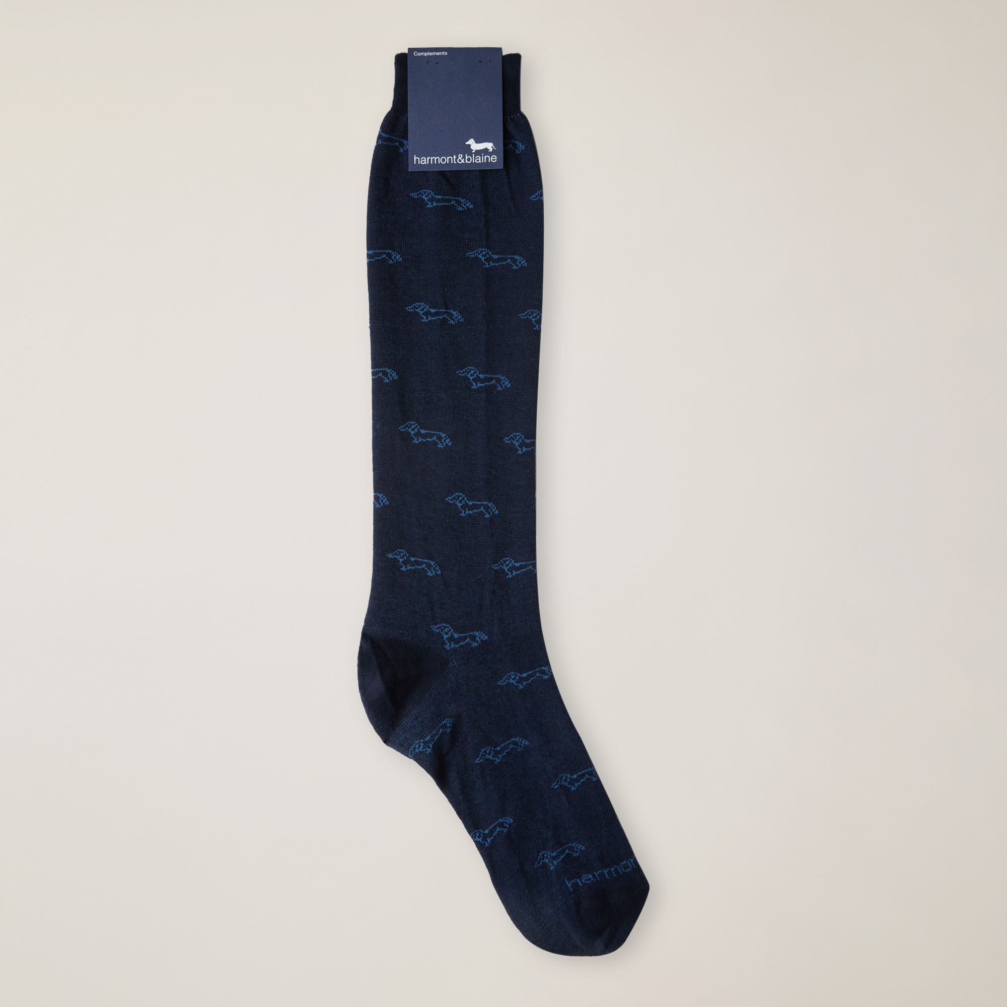 Long Socks With Dachshund Motif All Over, Blue, large