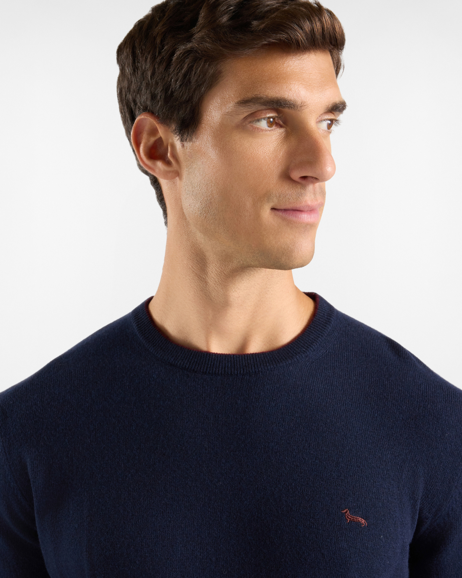 Men's crewneck sweater with contrasting stripe in a gray wool and cashmere blend with regular fit, NAVY BLUE, large image number 2