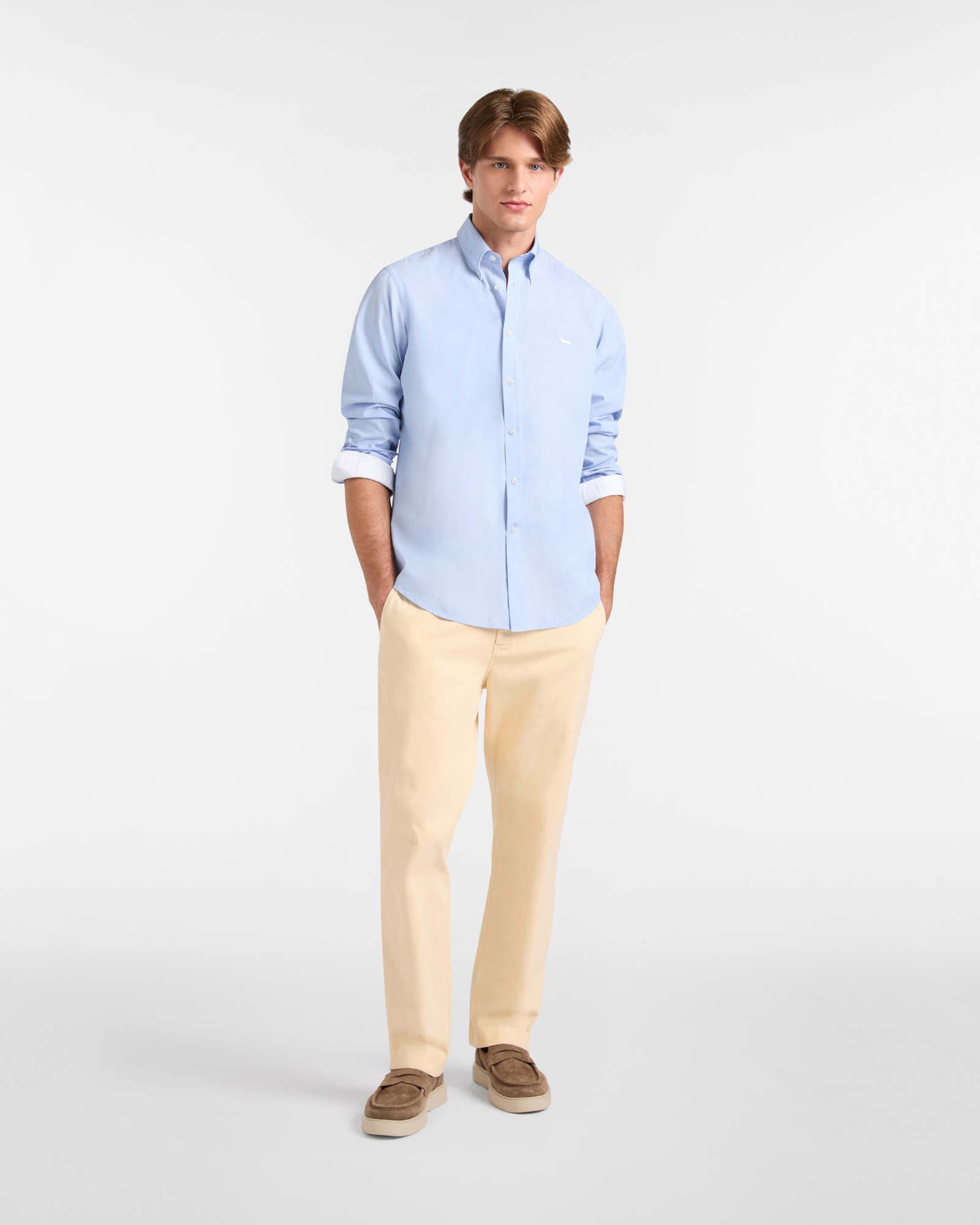 Regular Cotton Shirt with Dachshund, Sky, large image number 3