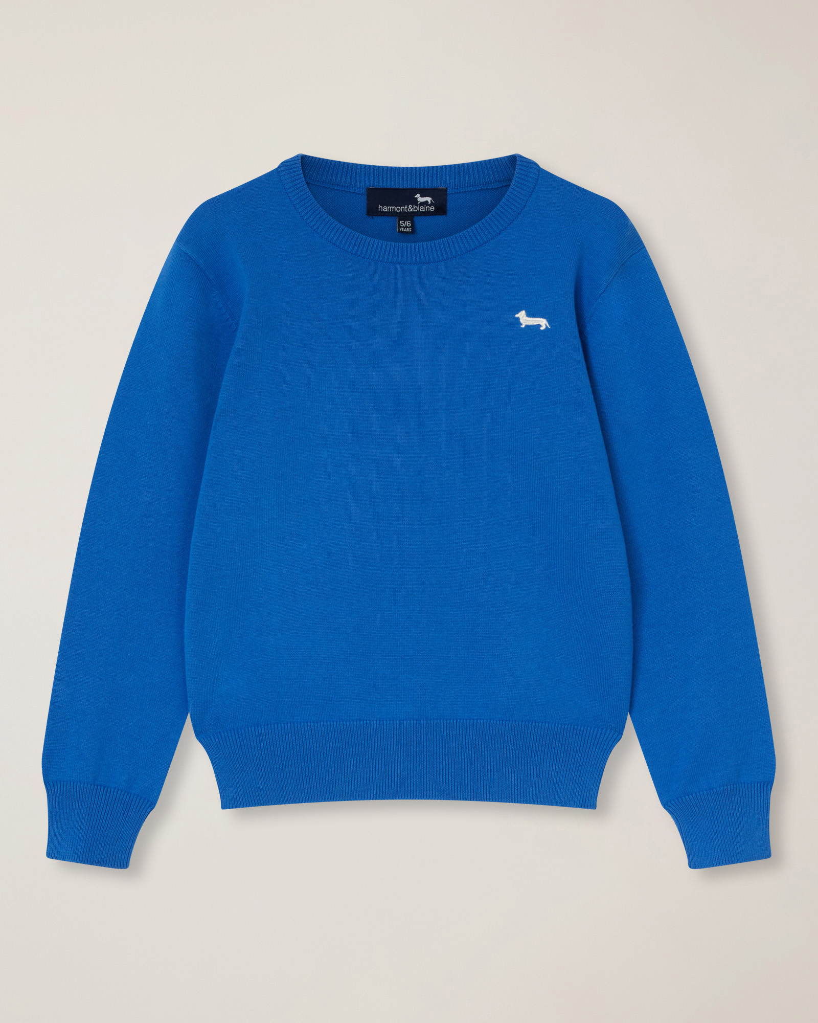 Crew-neck with logo embroidery, Light Blue, large