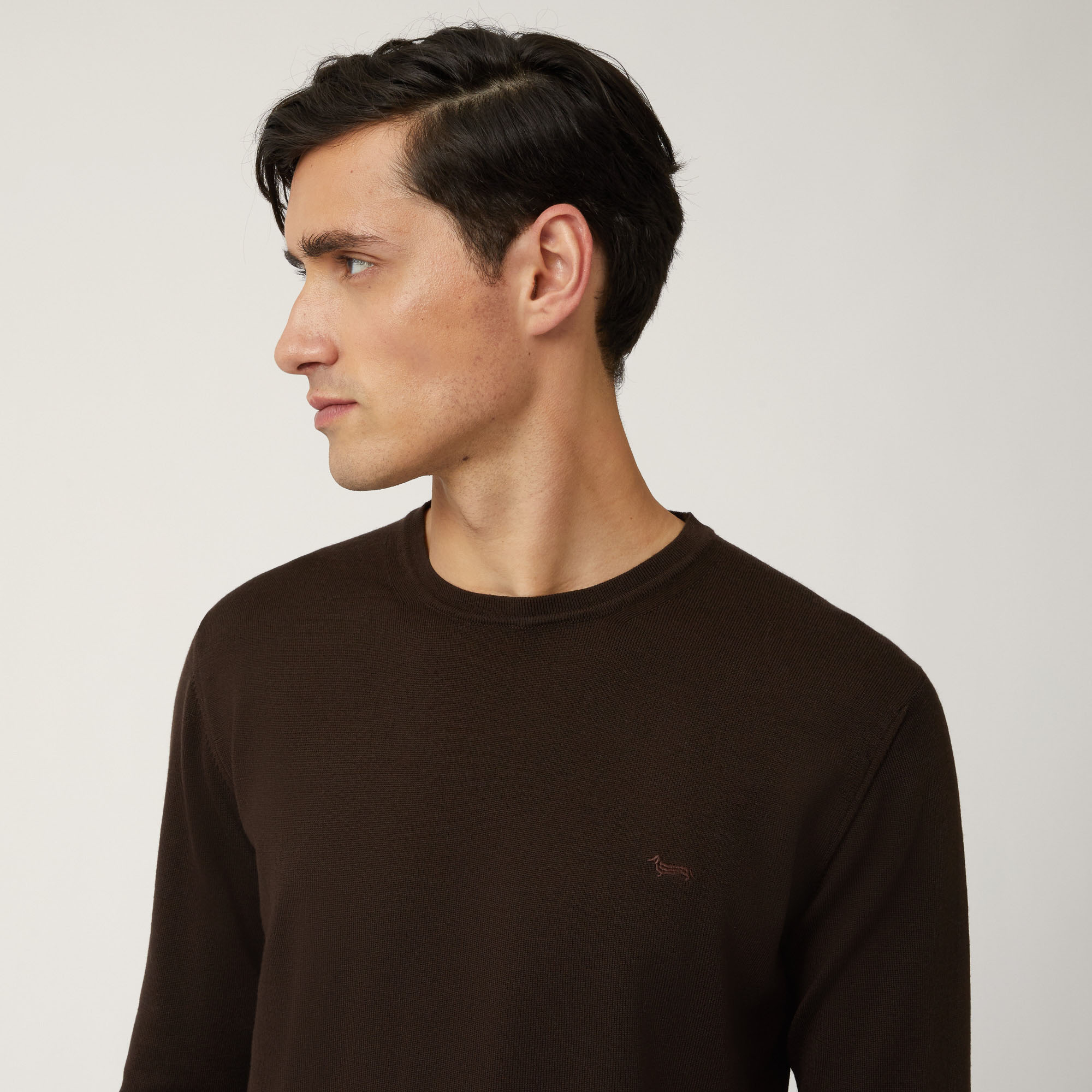 Pullover Girocollo In Lana Merino, Rovere Moro, large image number 2