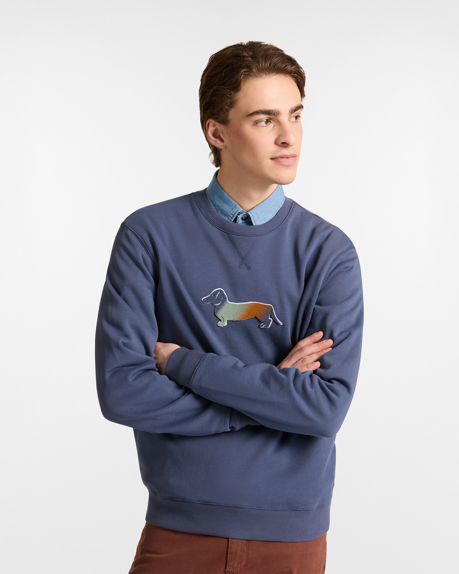 Cotton Sweatshirt with Dachshund Patch
