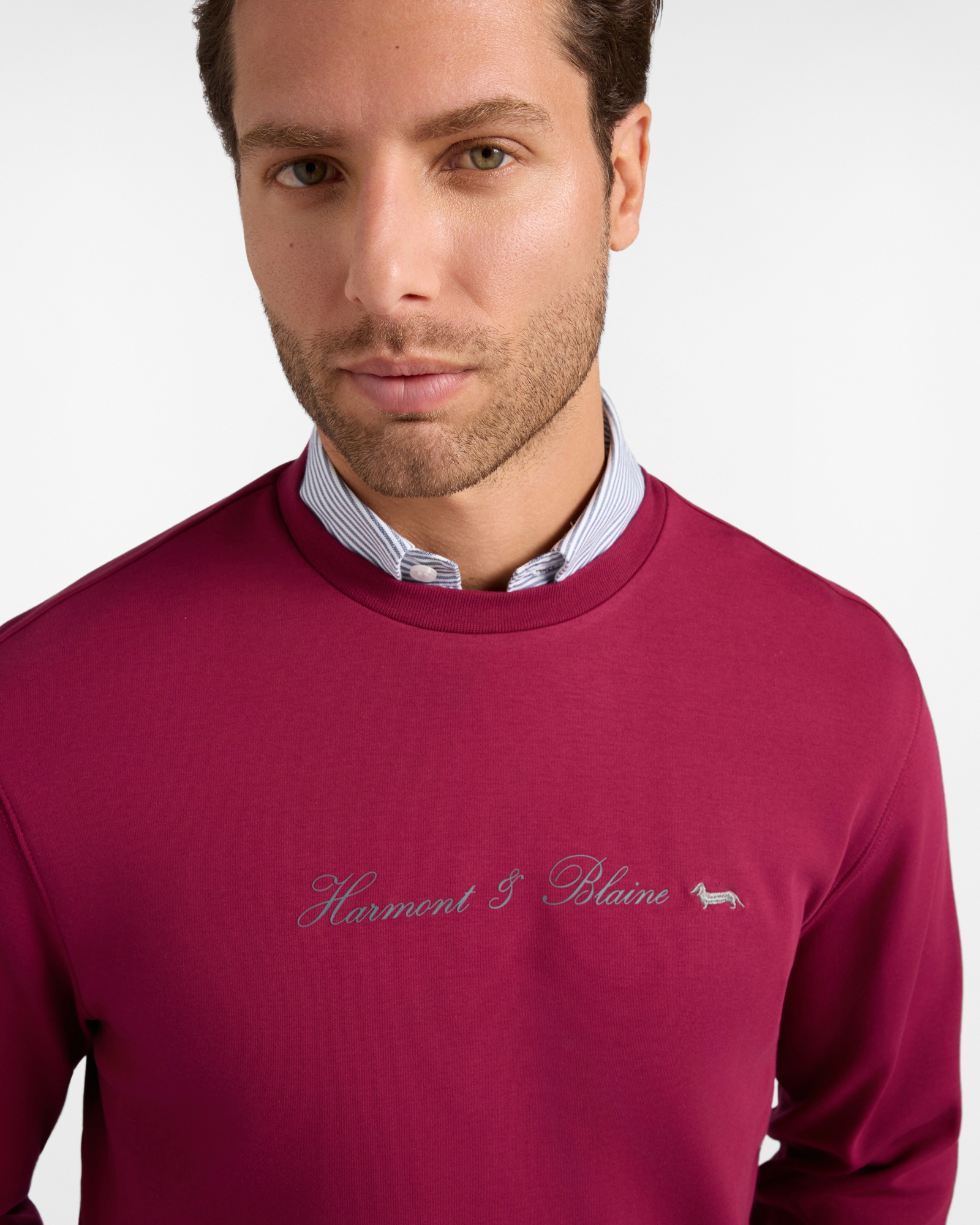 Men's pure cotton crewneck sweatshirt with 3D logo, INDIAN ROSE, large image number 2