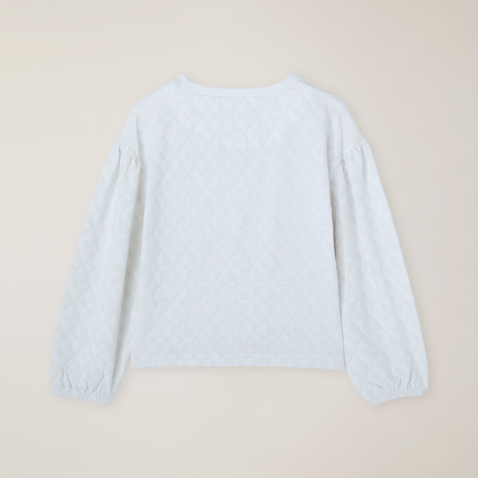 T-Shirt En Coton Biologique Avec Imprimé Effet Velours Sur Toute La Surface