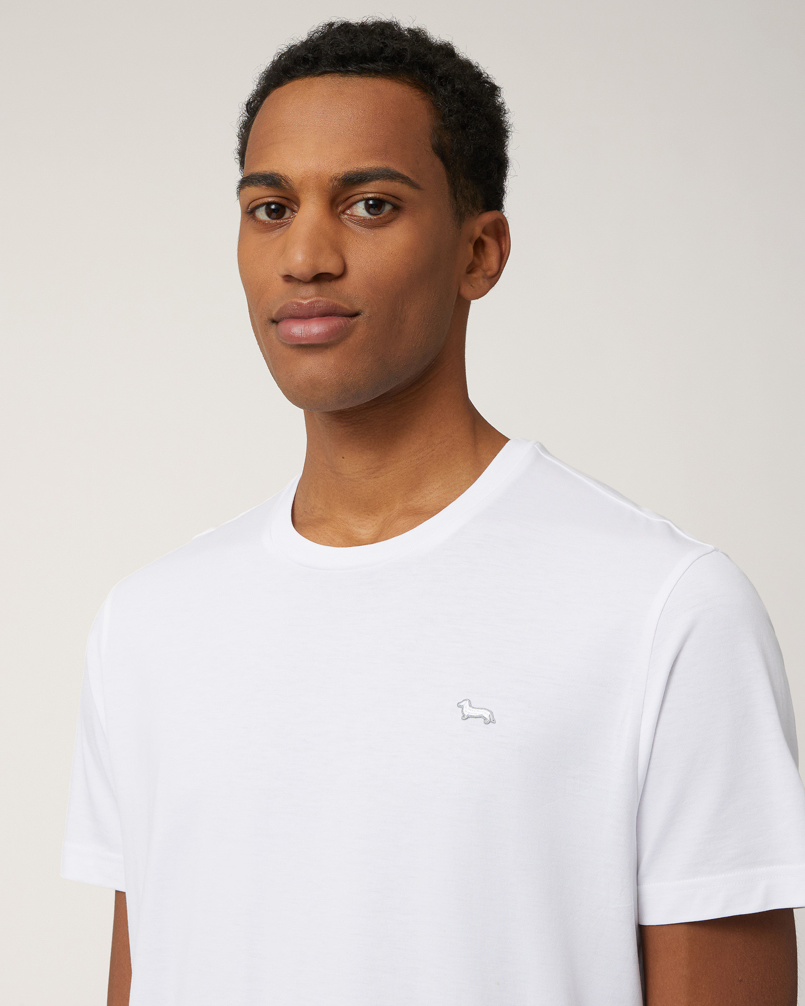 Cotton T-Shirt with Dachshund, White, large image number 2