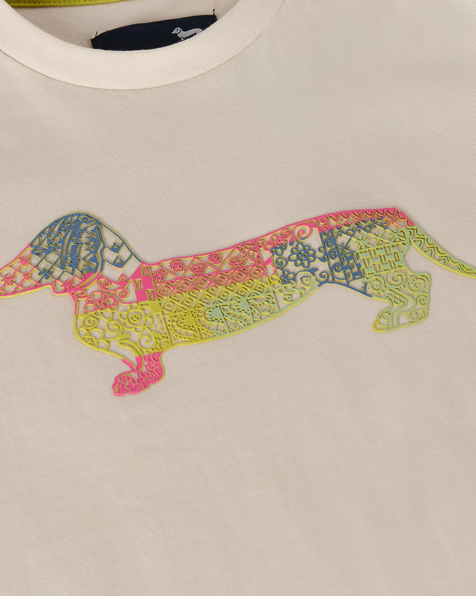 T-shirt maniche corte con logo fancy, Grigio Perla, large image number 2