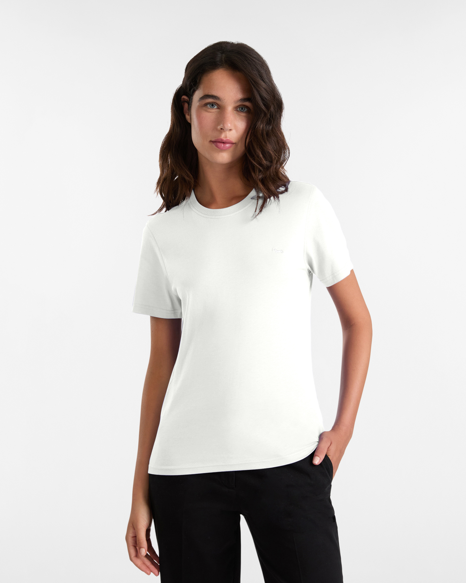 Camiseta de Jersey de Algodón con Perro Salchicha Bordado, Blanco Leche, large