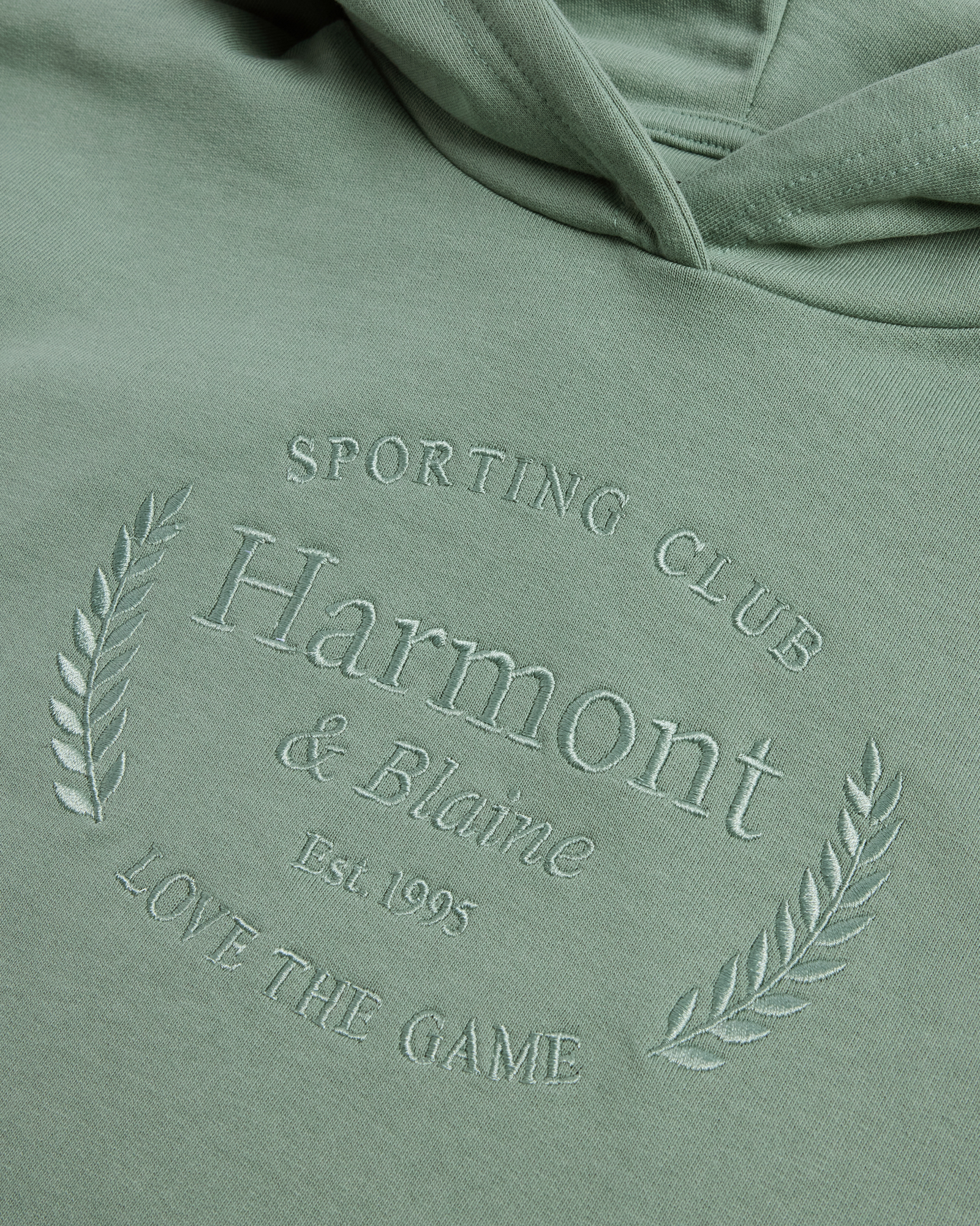 Cropped hoodie with tone-on-tone logo embroidery, Sage Green, large image number 2