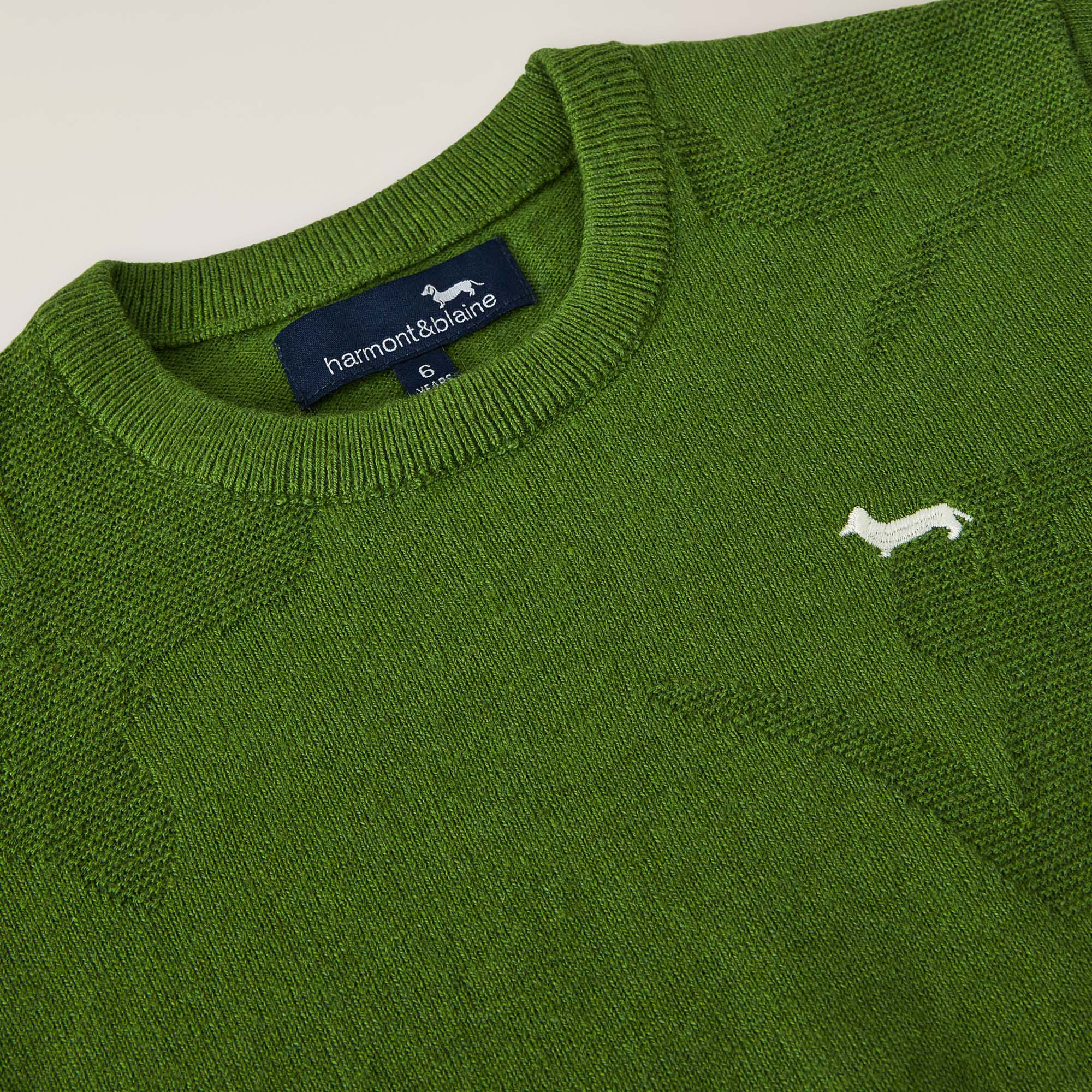Jersey de cuello redondo en jacquard con bordado de teckel, Verde &aacute;cido, large image number 2