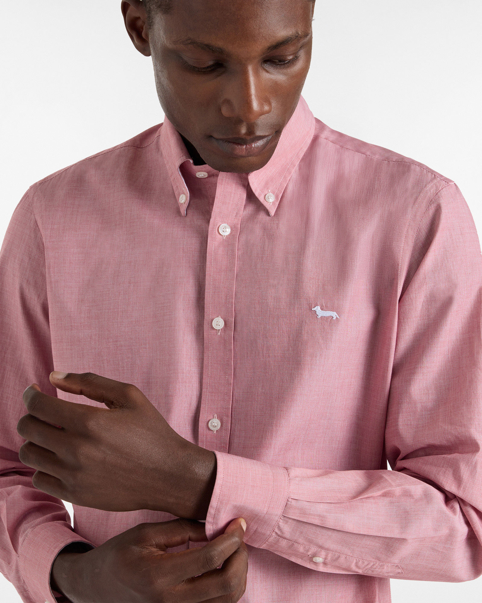 Regular Cotton Shirt with Dachshund, Ruby, large image number 2