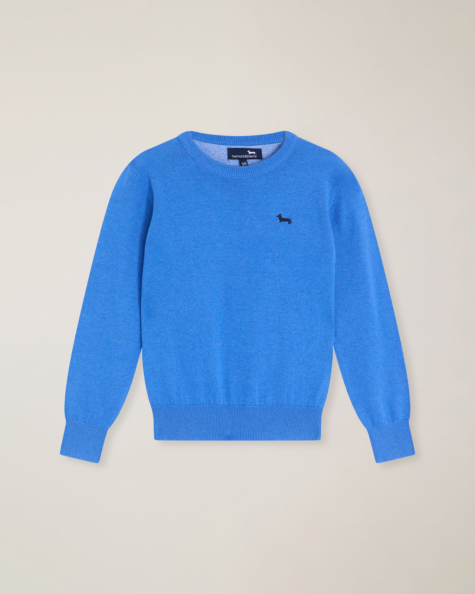 Crewneck sweater with embroidered logo, Bluette, large