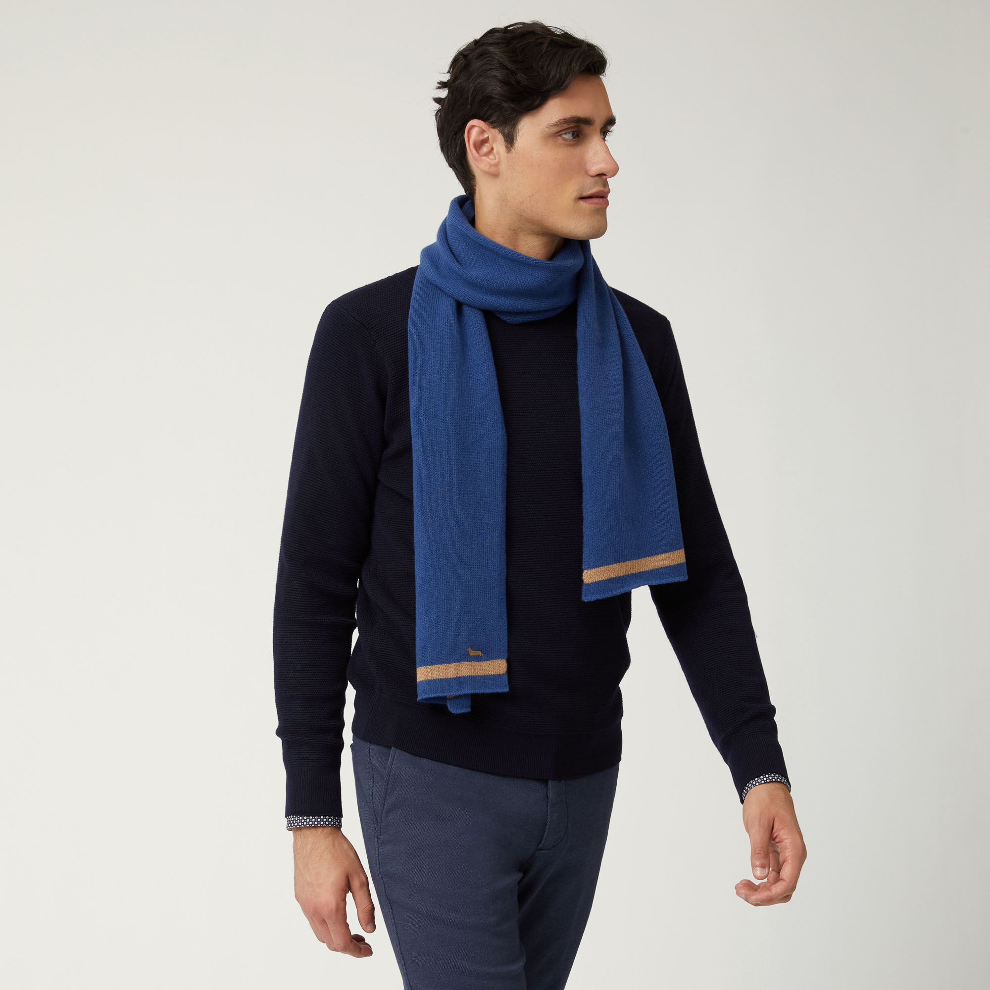 Sciarpa In Misto Cashmere Bicolor Con Bassotto, Indaco Chiaro, large image number 2