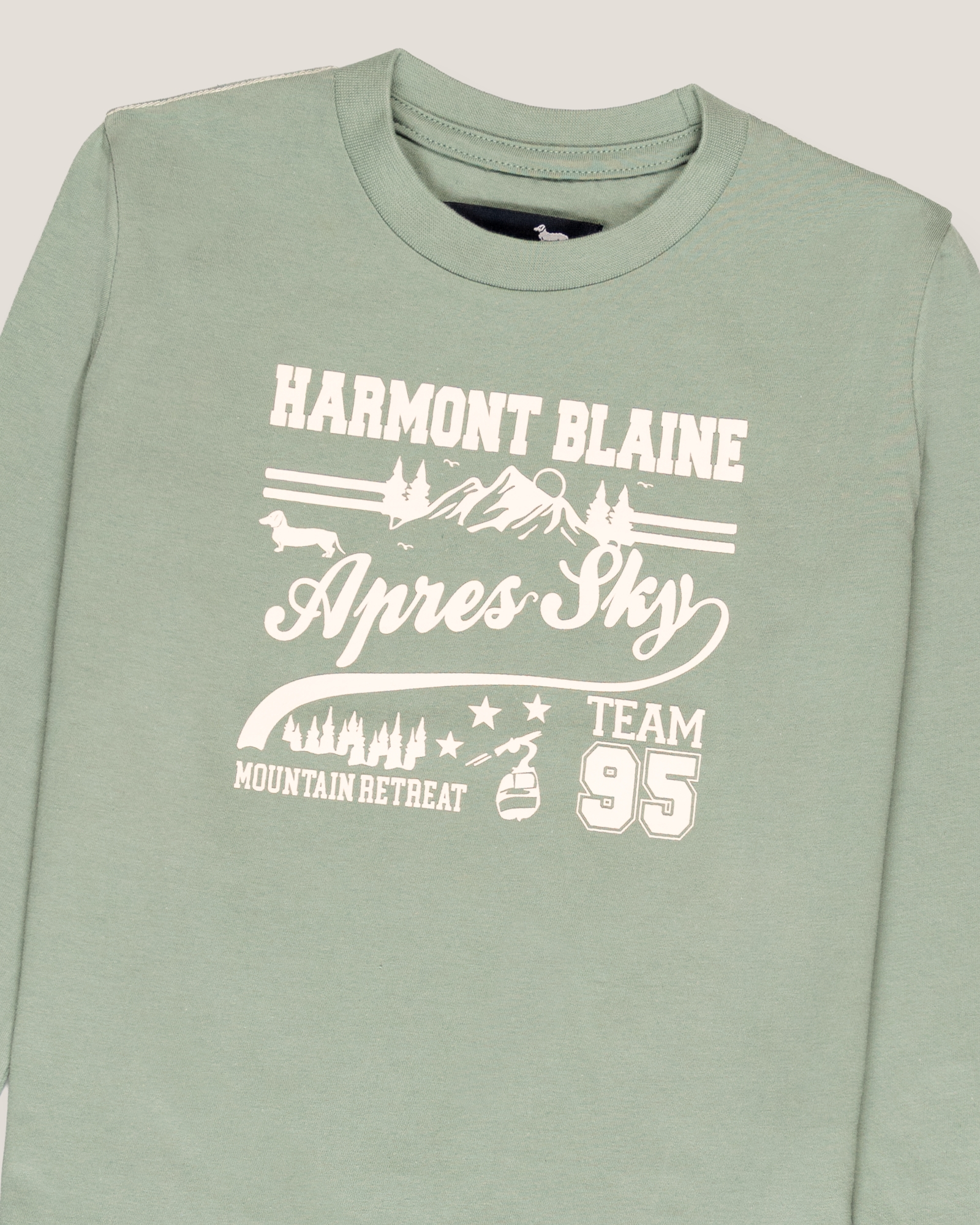 Long-sleeve t-shirt with high-density print, Sage Green, large