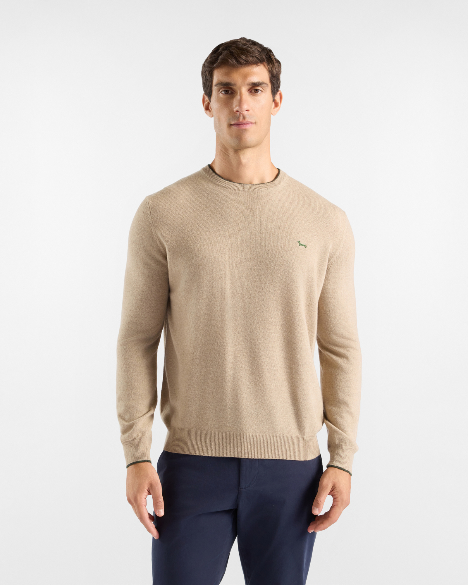 Men's crewneck sweater with contrasting stripe in a beige wool and cashmere blend with regular fit