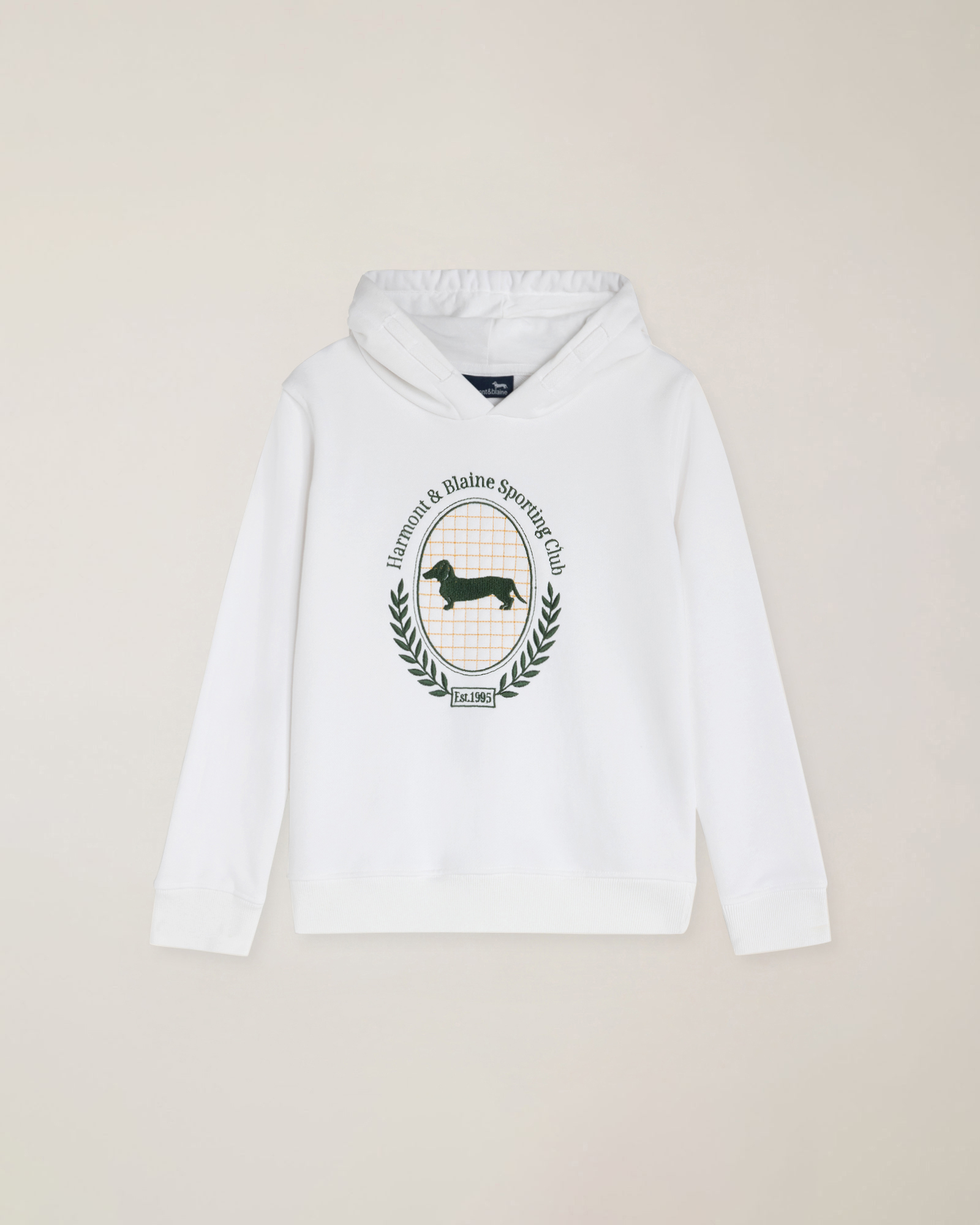 Felpa french terry con cappuccio e ricamo davanti
