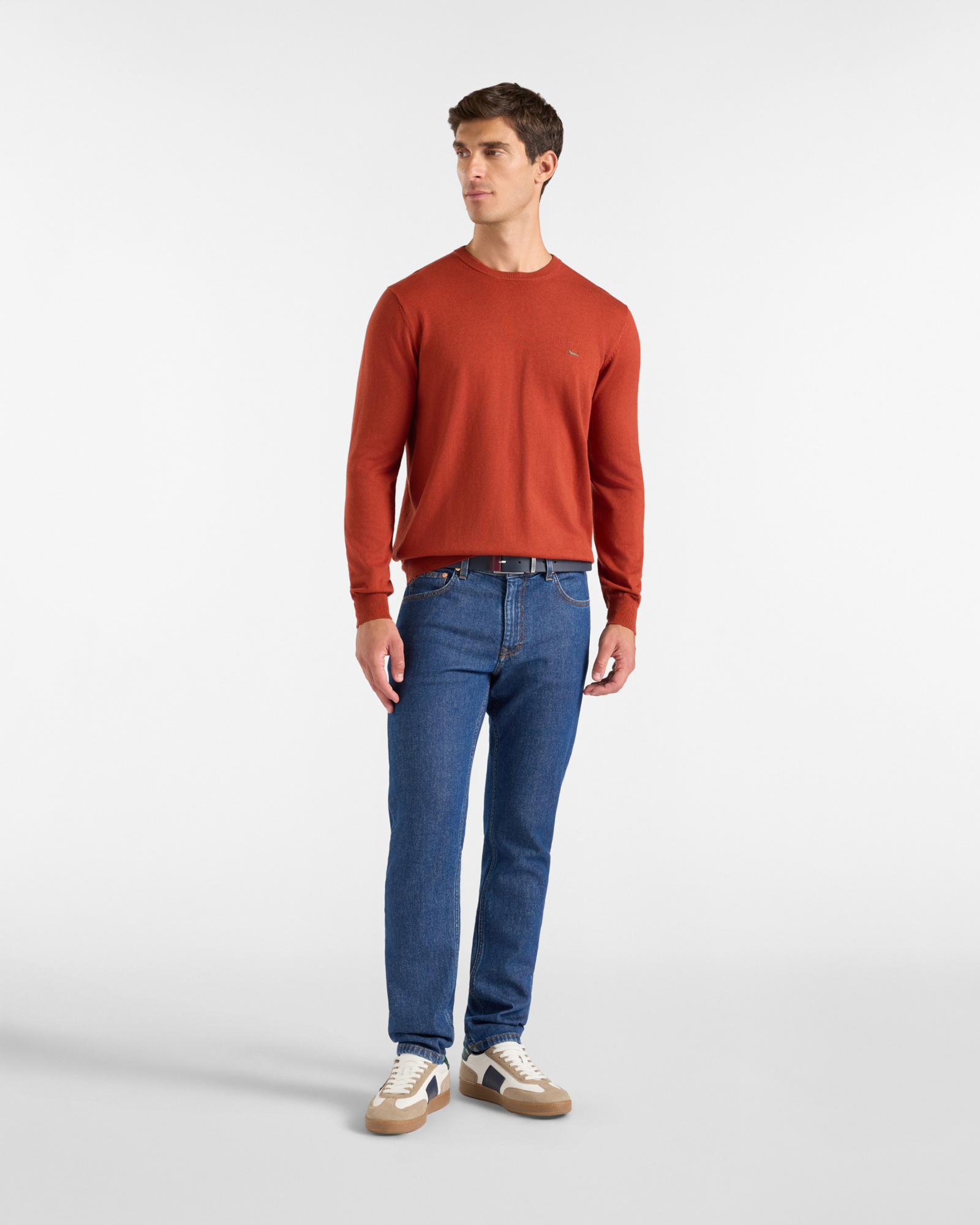 Men's regular fit sweater in a  wool and cotton blend, BRICK RED, large image number 3