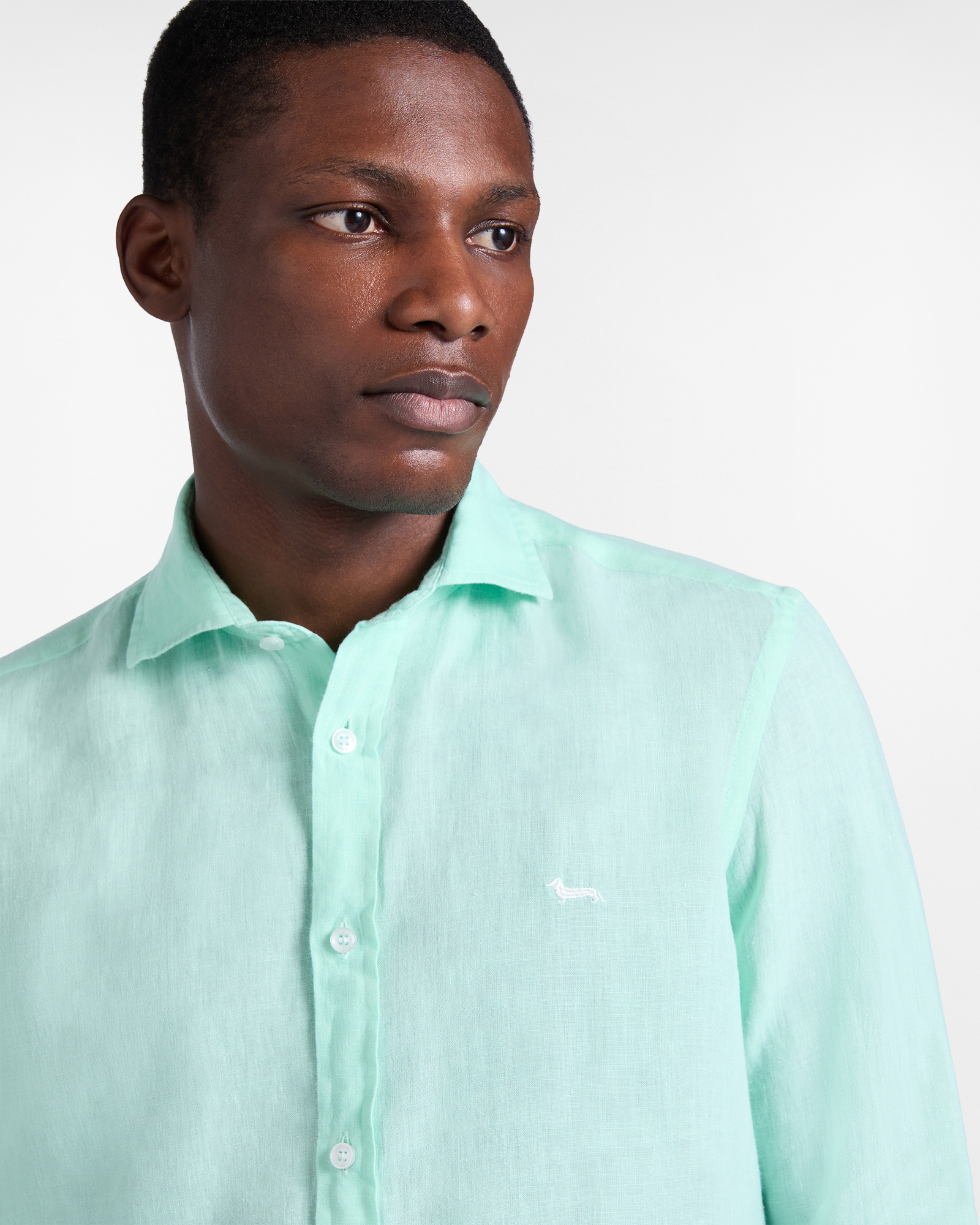 Solid color pure linen shirt, Light Green, large image number 2
