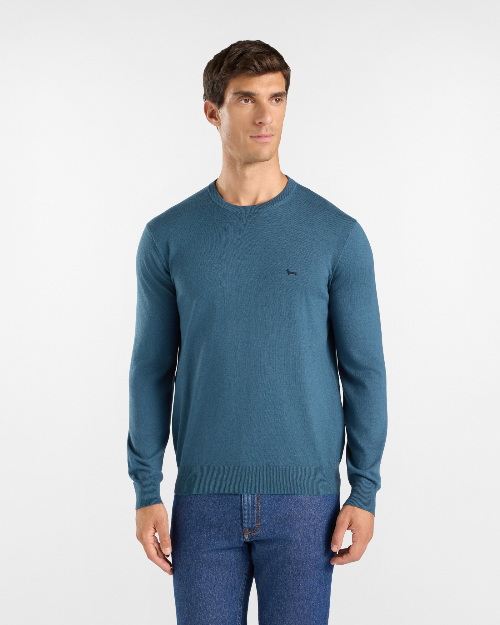 Men's regular fit sweater in a wool and cotton blend