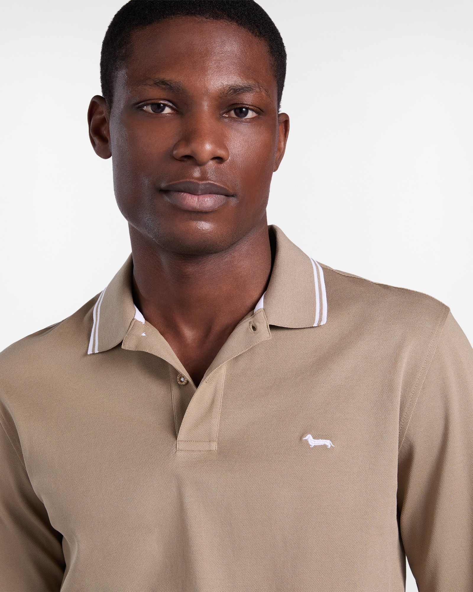 Men's polo shirt with contrasting stripes, Gray, large image number 2