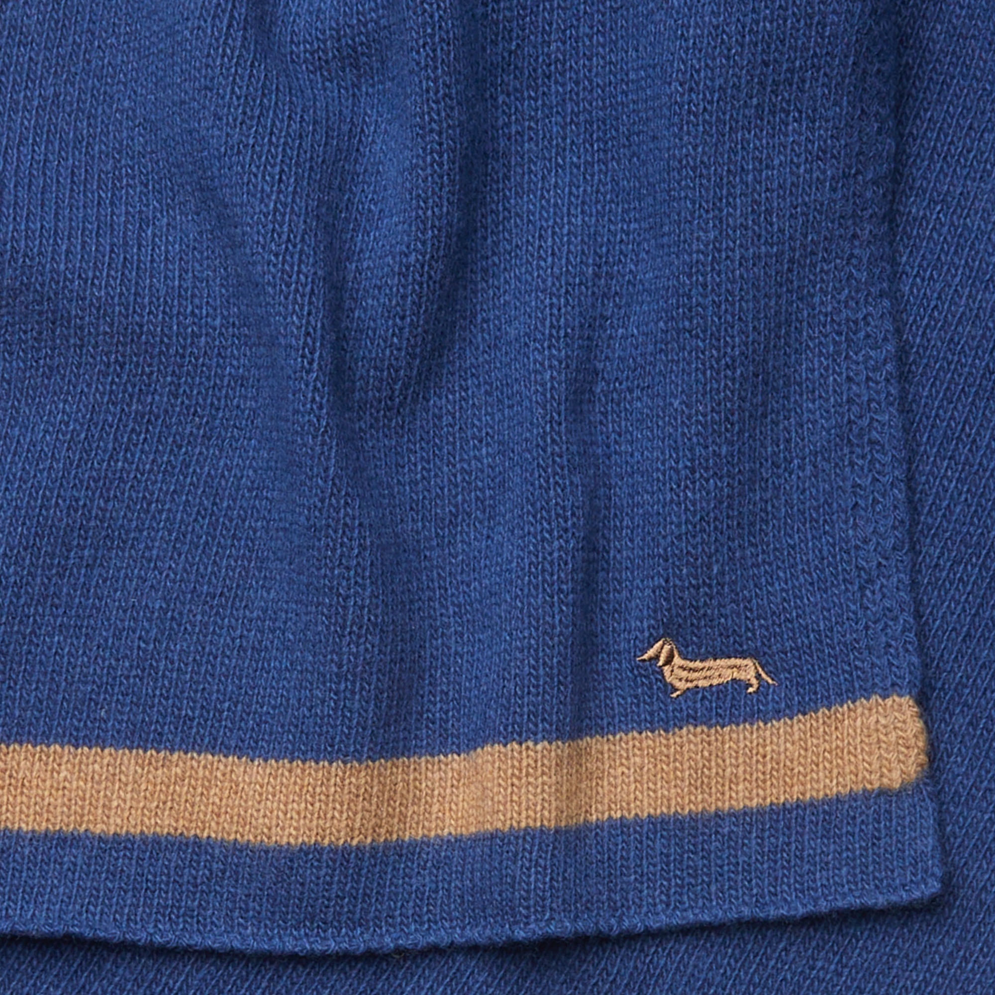 Sciarpa In Misto Cashmere Bicolor Con Bassotto, Indaco Chiaro, large image number 1