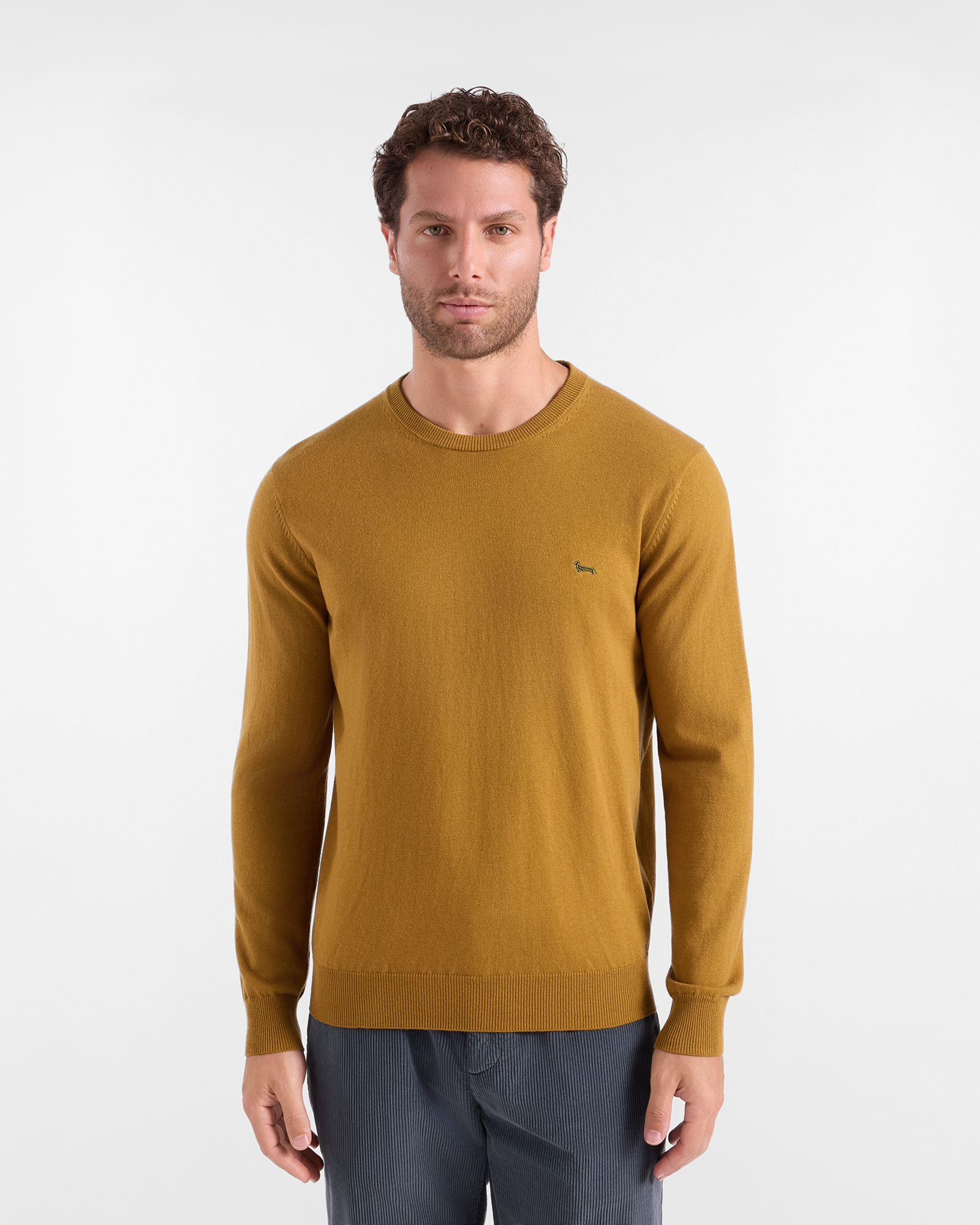 Men's regular fit sweater in a brown wool and cotton blend