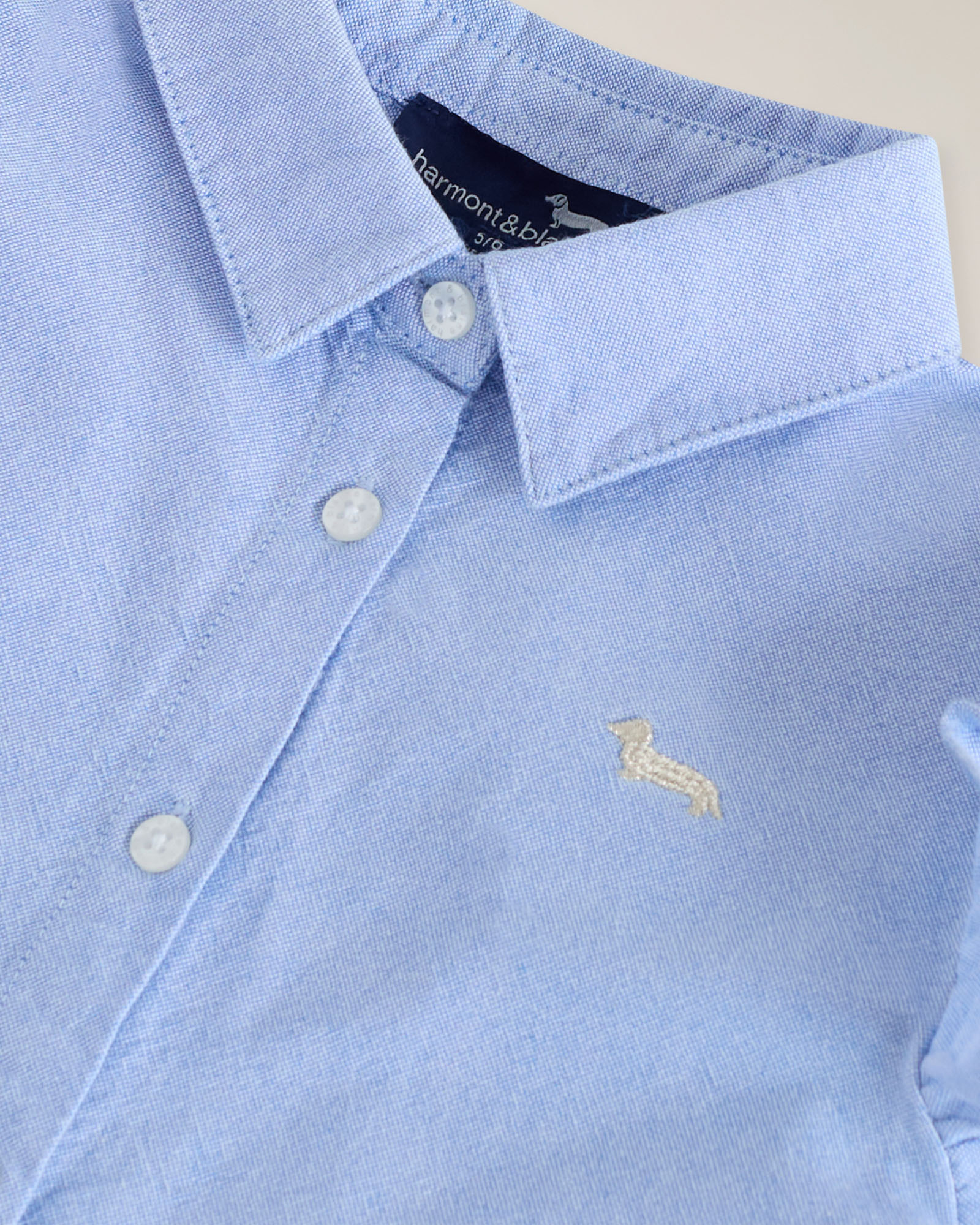 Camicia oxford con ricamo dietro, Cielo, large image number 2