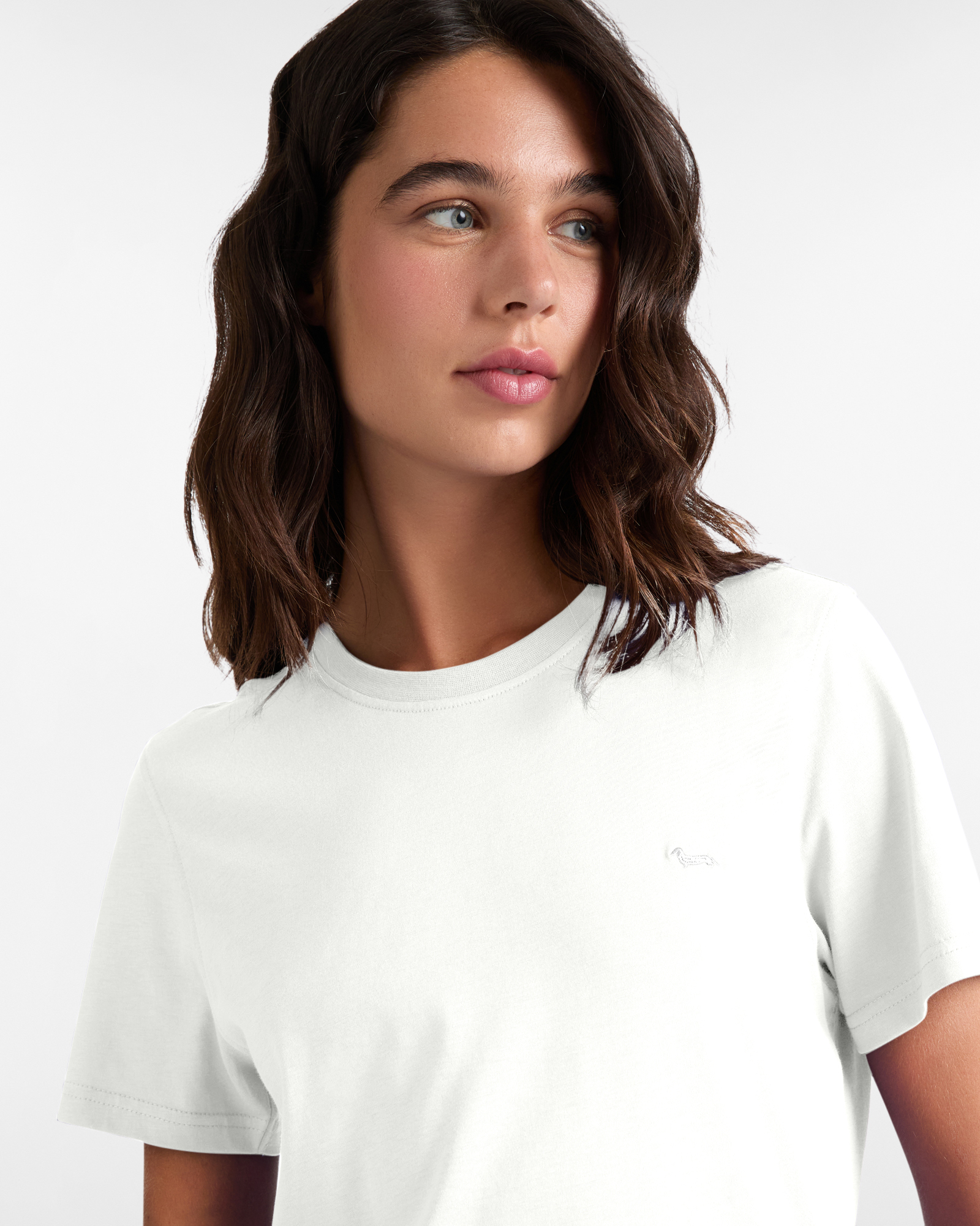 T-shirt in Jersey di Cotone con Bassotto Ricamato, Bianco Latte, large image number 2