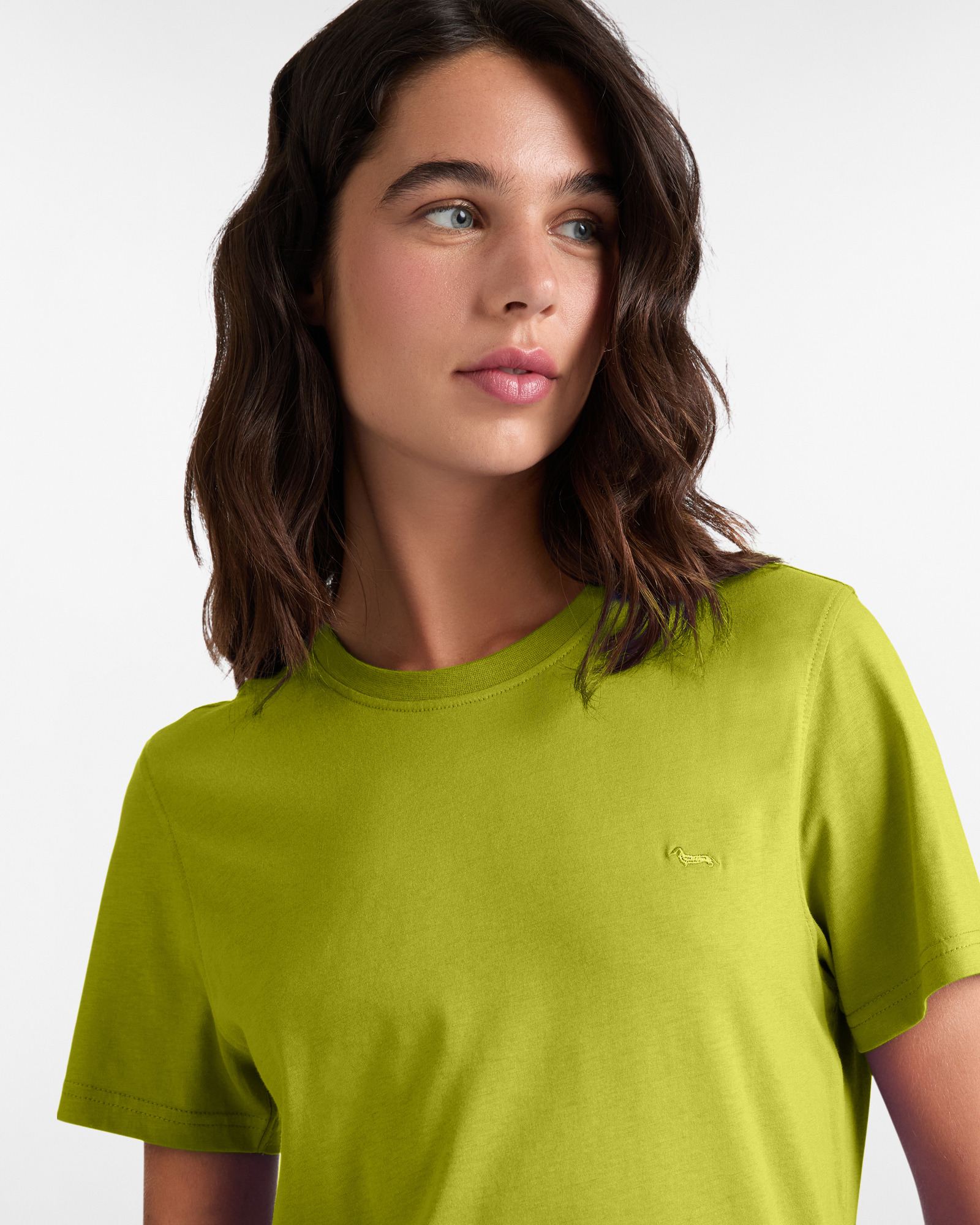 T-shirt in Jersey di Cotone con Bassotto Ricamato, Verde, large image number 2