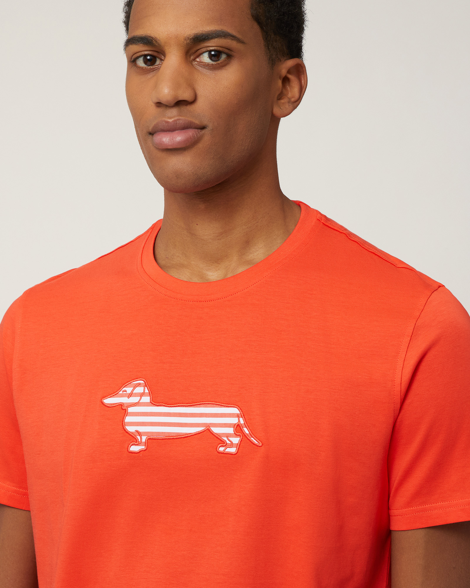 Sorbet T-Shirt with Dachshund, Orange, large image number 2