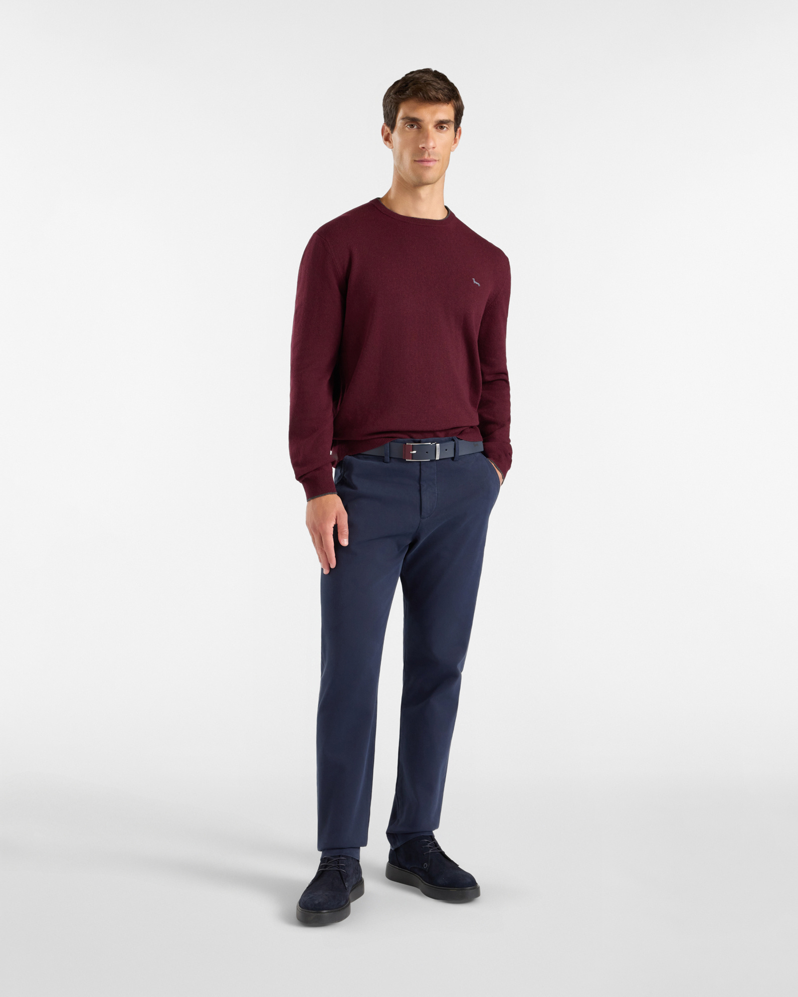 Men's crewneck sweater with contrasting stripe in a gray wool and cashmere blend with regular fit, DARK PURPLE, large image number 3
