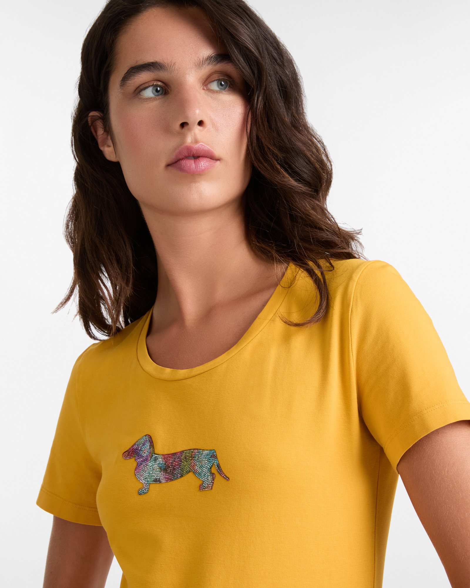 T-Shirt with Decorated Dachshund, Yellow, large image number 2