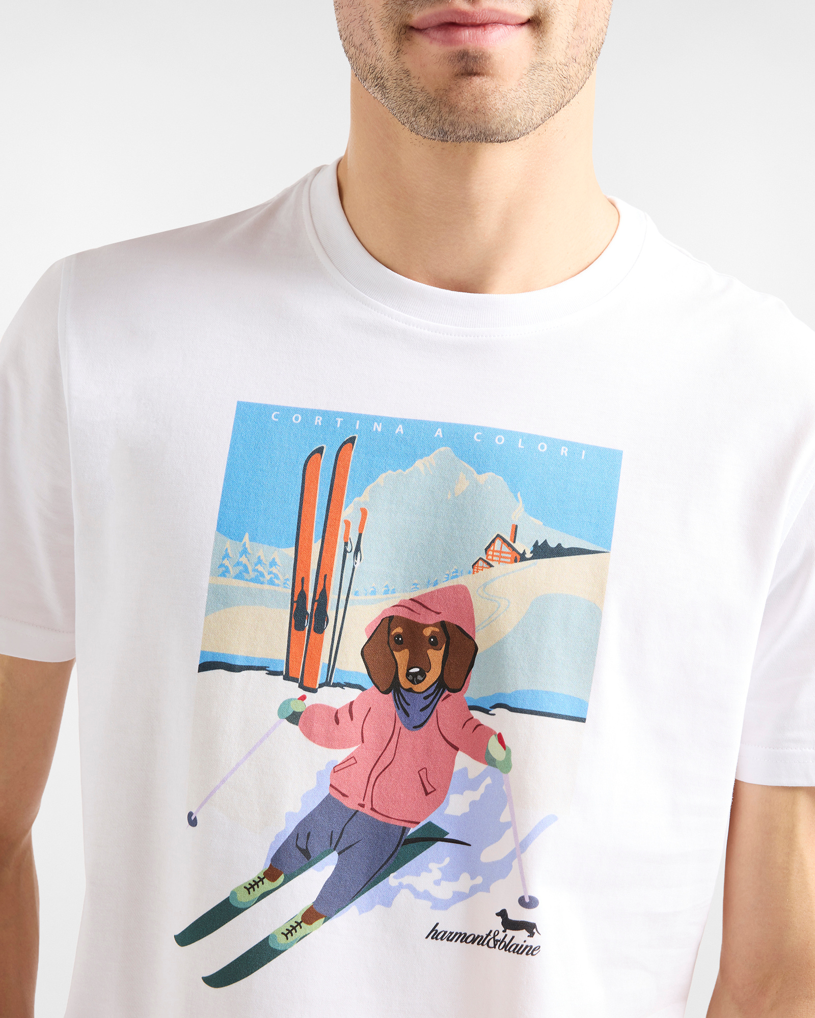 T-shirt in cotone con stampa "Cortina a Colori", Bianco, large image number 2